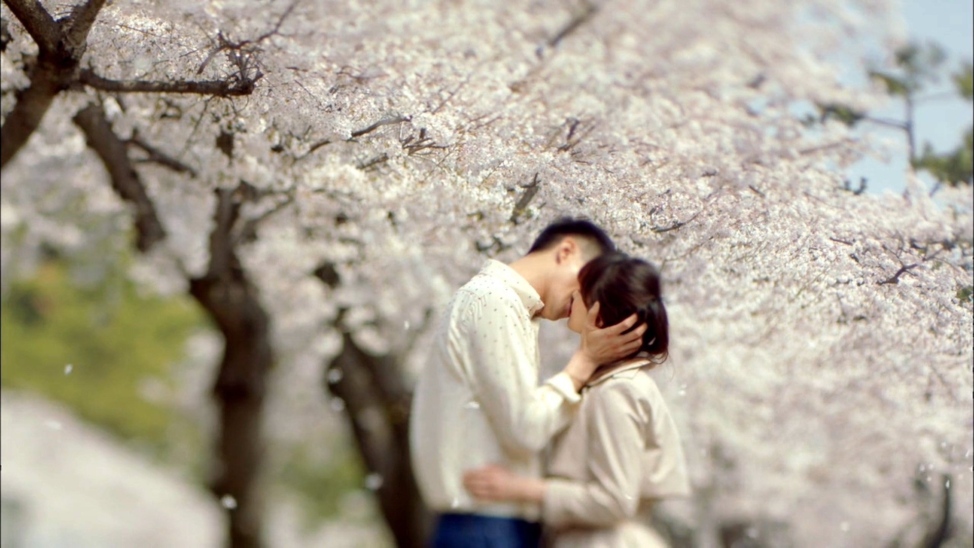 影视,那年冬天，风在吹,@那年冬天风在吹吧官博