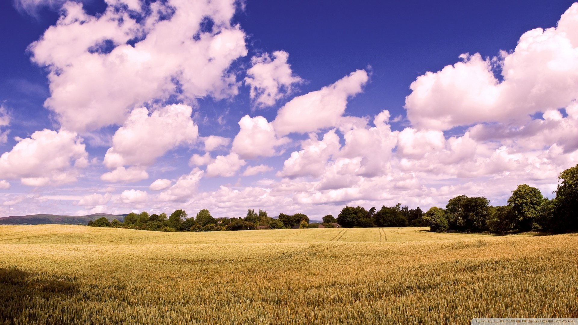 风景,春意盎然,蓝天,白云,儿童桌面专用