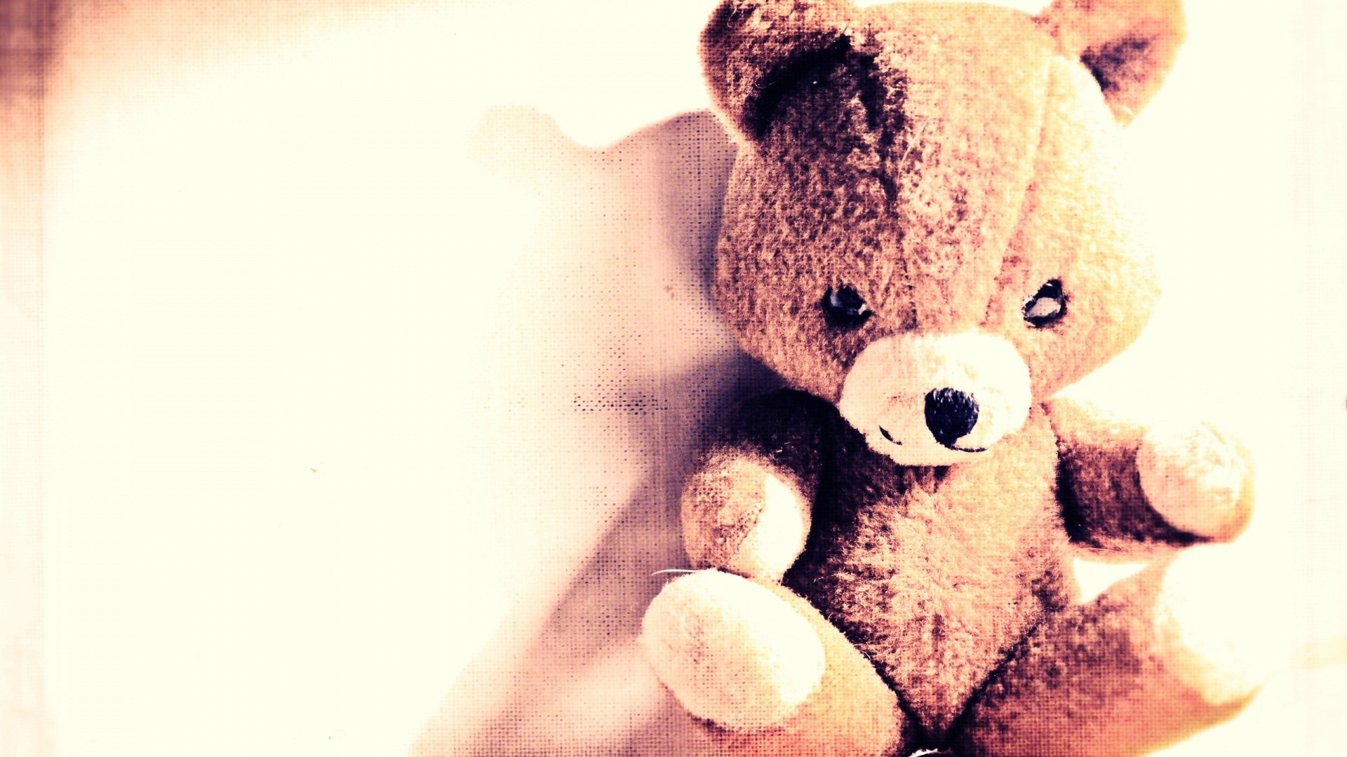 小清新,静物写真,玩具熊,熊,儿童桌面专用