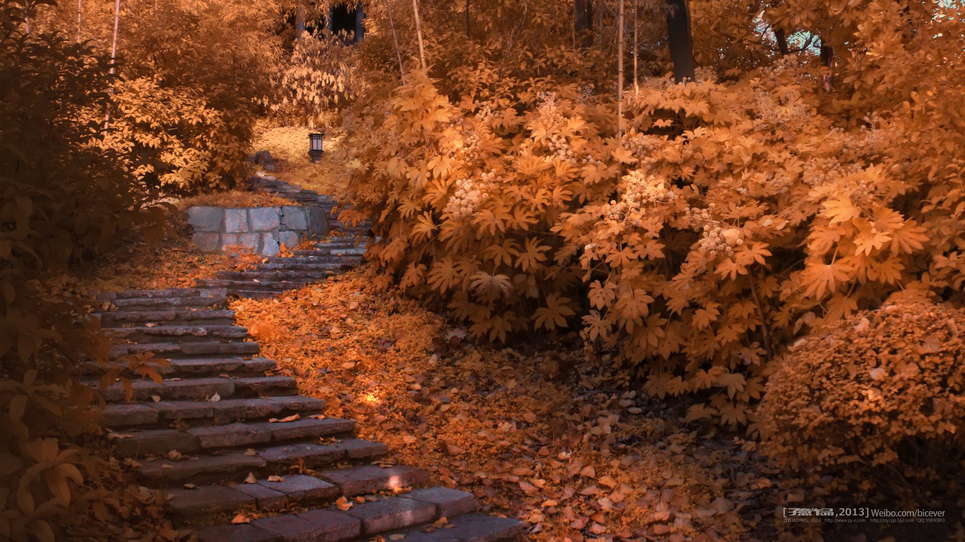 风景,旅游胜地,南京,子意,@子意作品,独家首发,儿童桌面专用