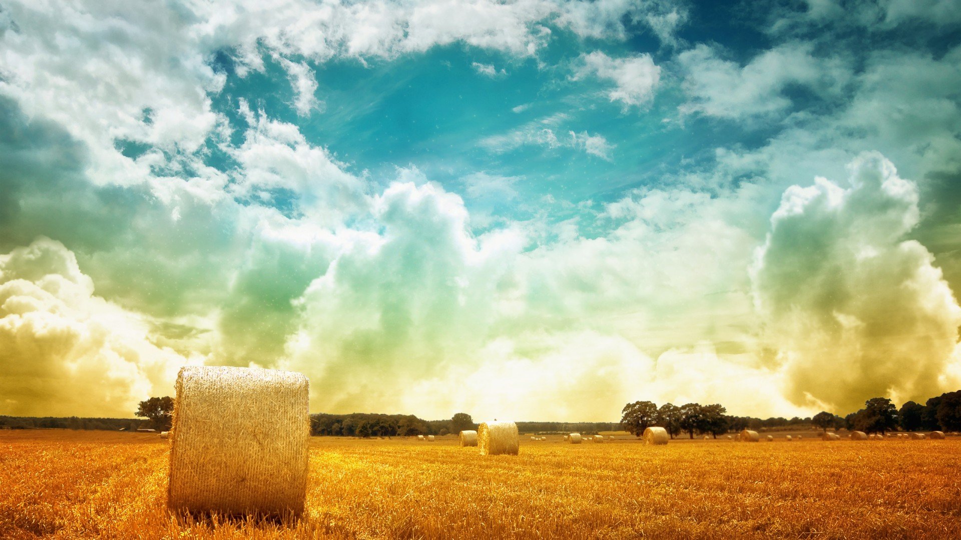 风景,秋意正浓,麦田,草卷,儿童桌面专用