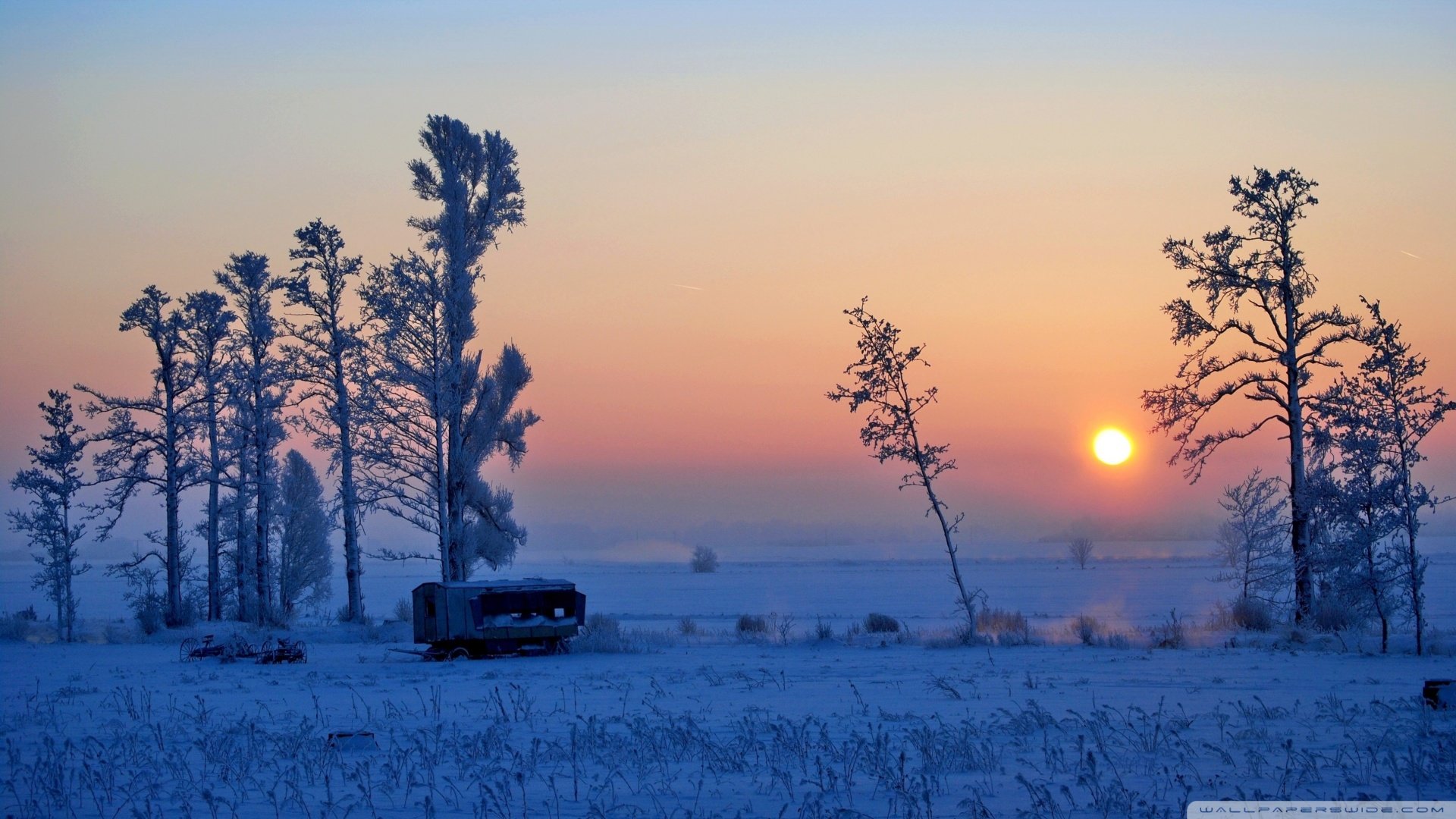 风景,白雪,冬天,冬季,落日,儿童桌面专用