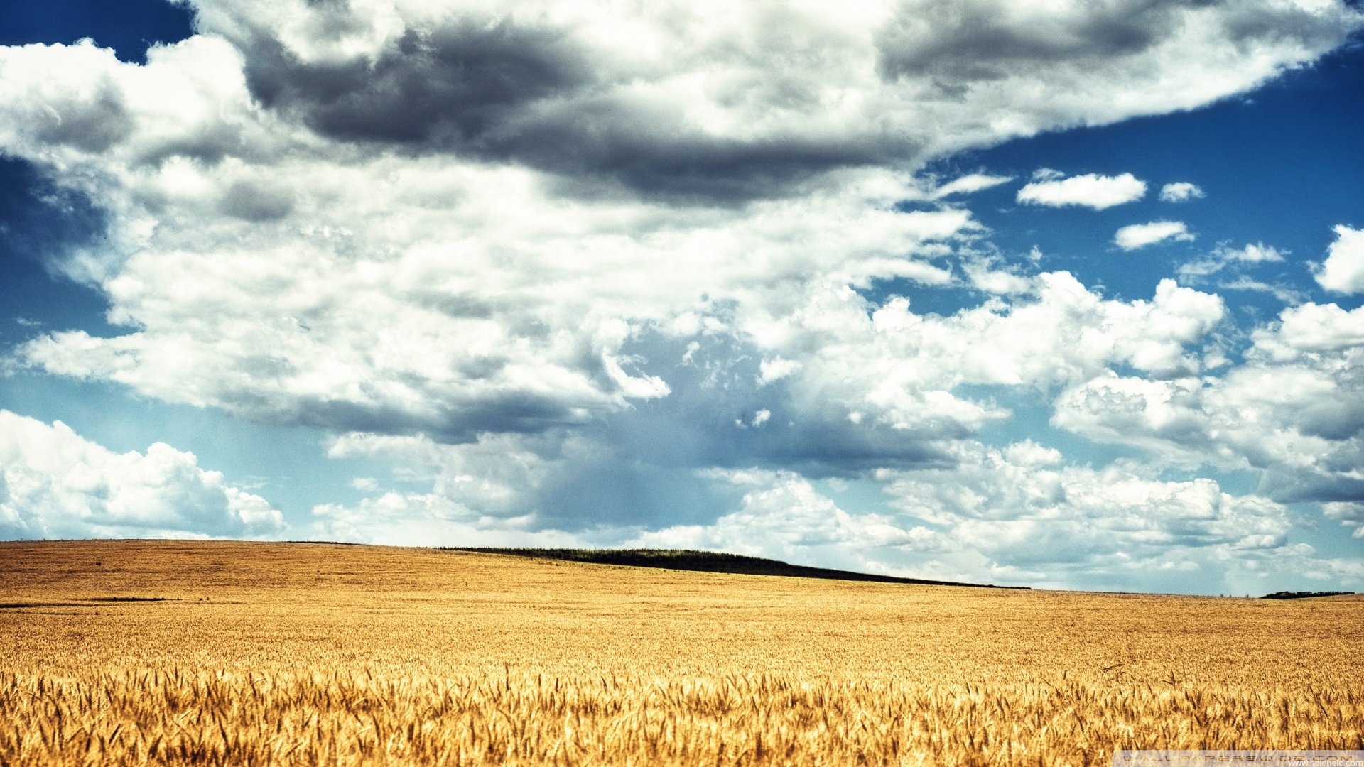 风景,蓝天白云,儿童桌面专用