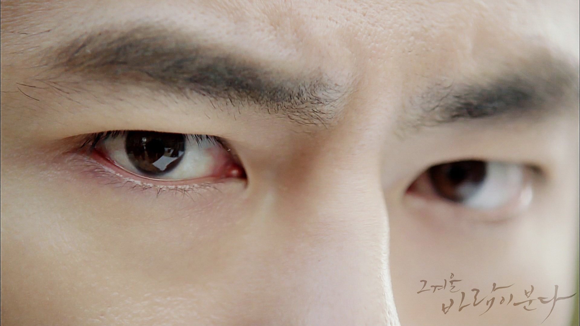 影视,那年冬天，风在吹,@那年冬天风在吹吧官博