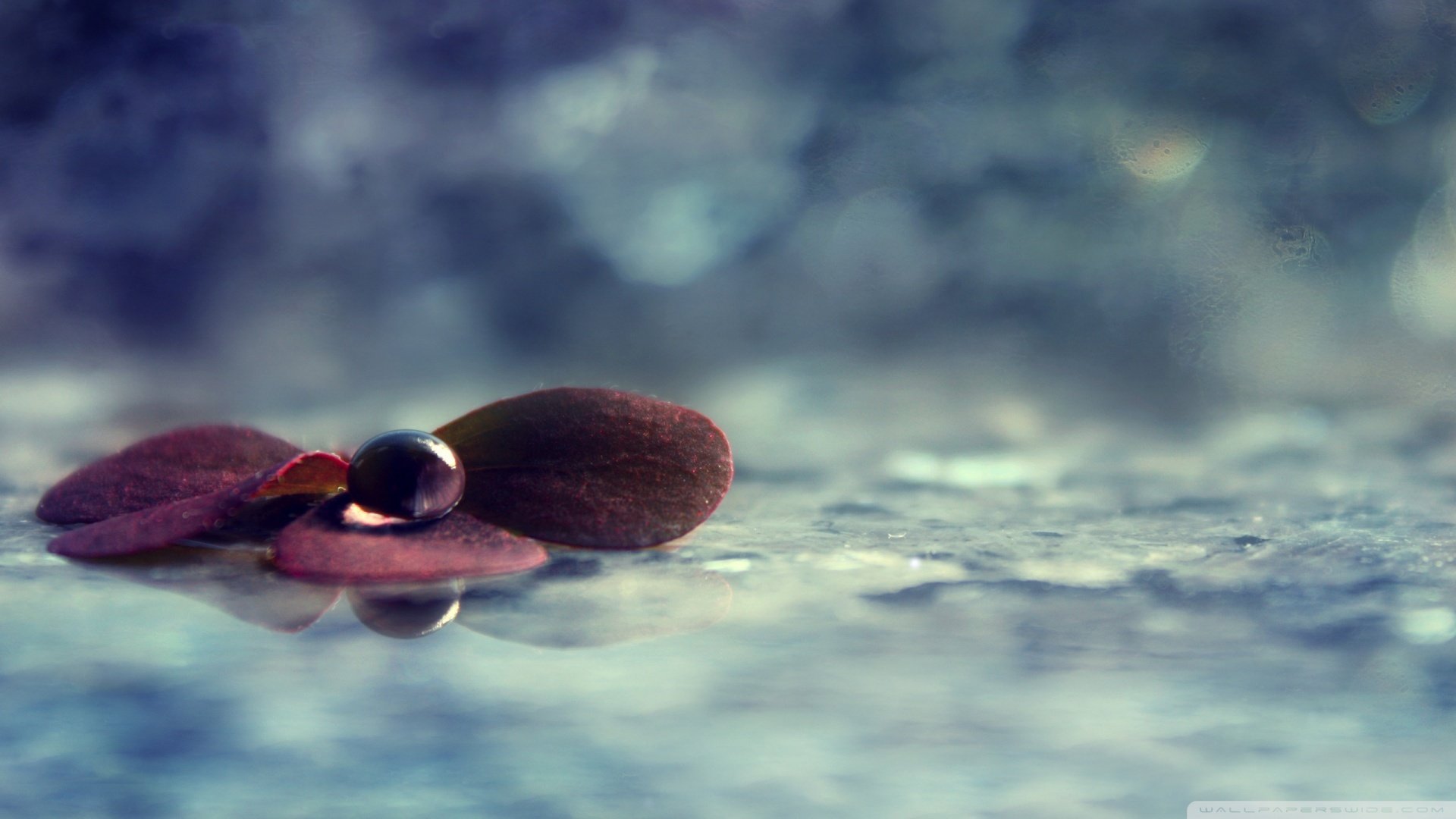 小清新,清新淡雅,儿童桌面专用