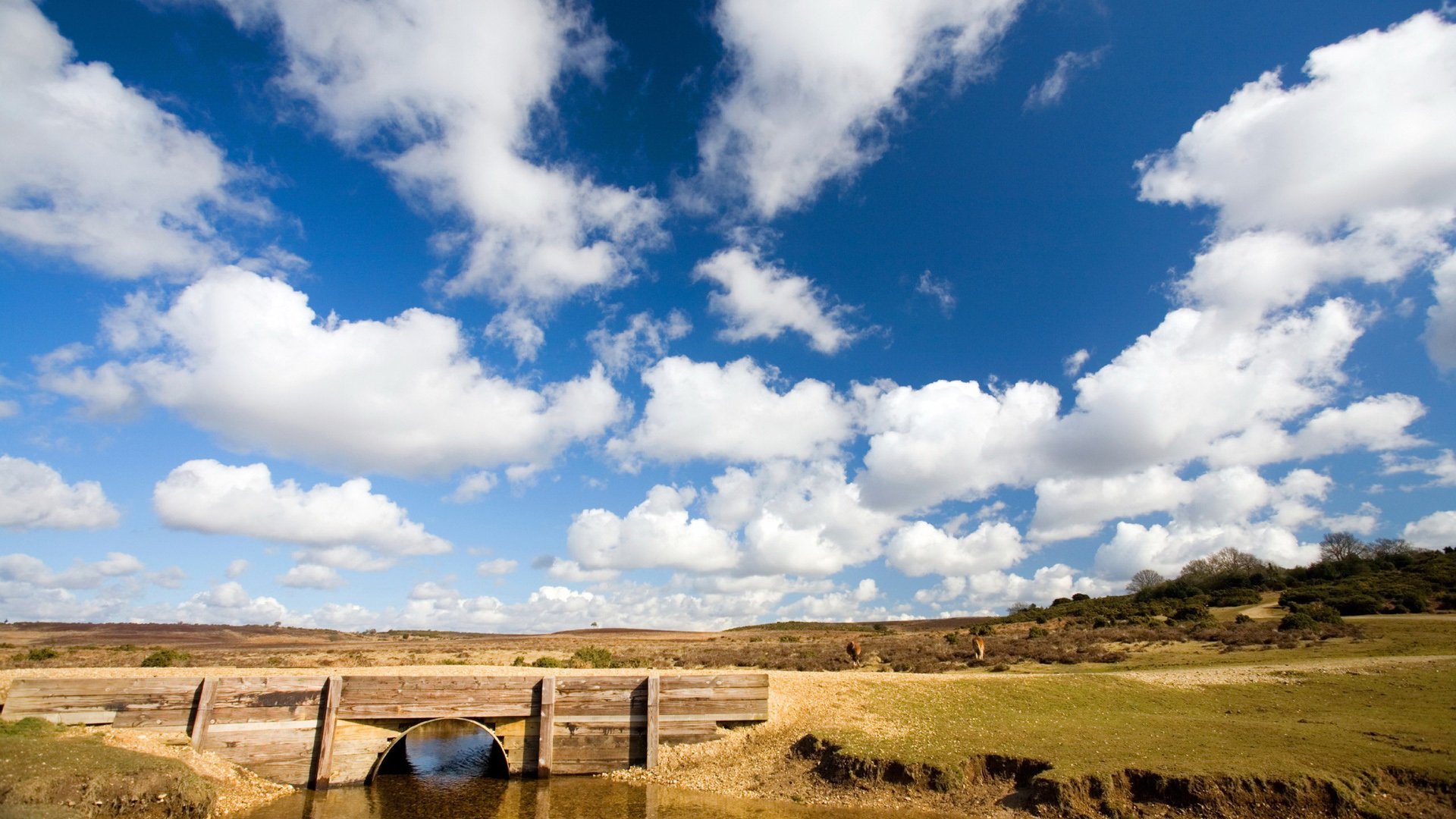 风景,蓝天,白云,田野,自然风光,儿童桌面专用
