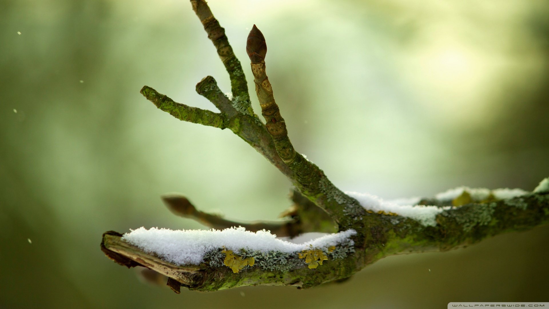小清新,护眼壁纸,儿童桌面专用