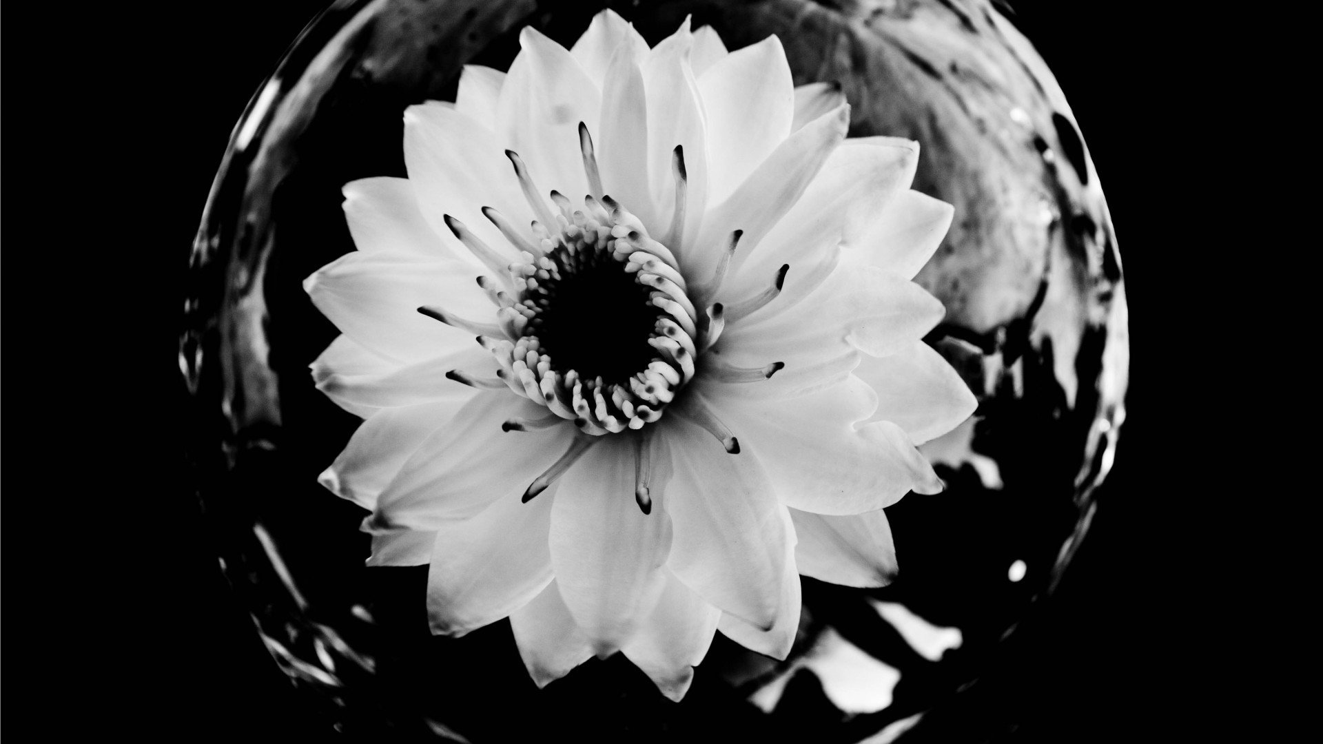 小清新,清新淡雅