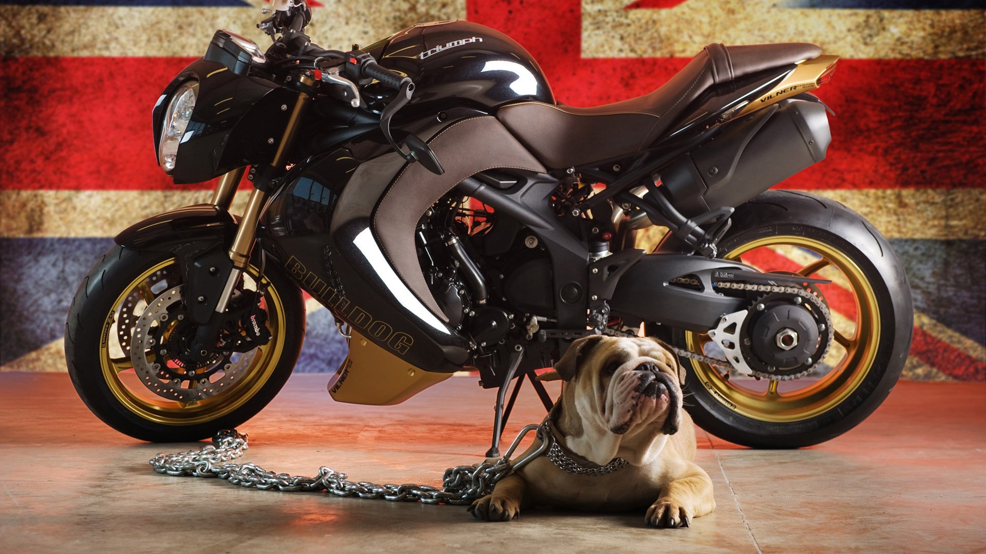 汽车,超跑,摩托车,儿童桌面专用