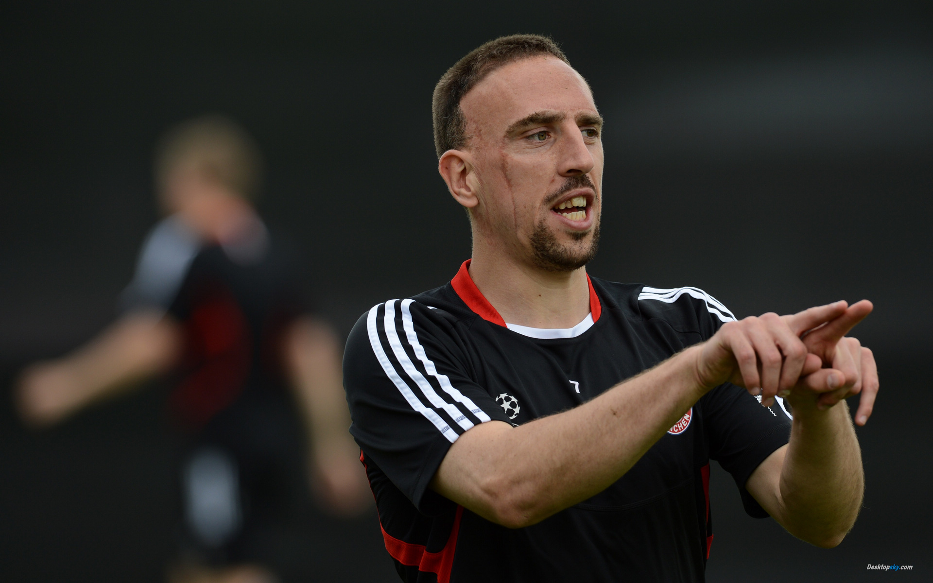 体育,足球,球星,里贝里,九月十四日,欧冠