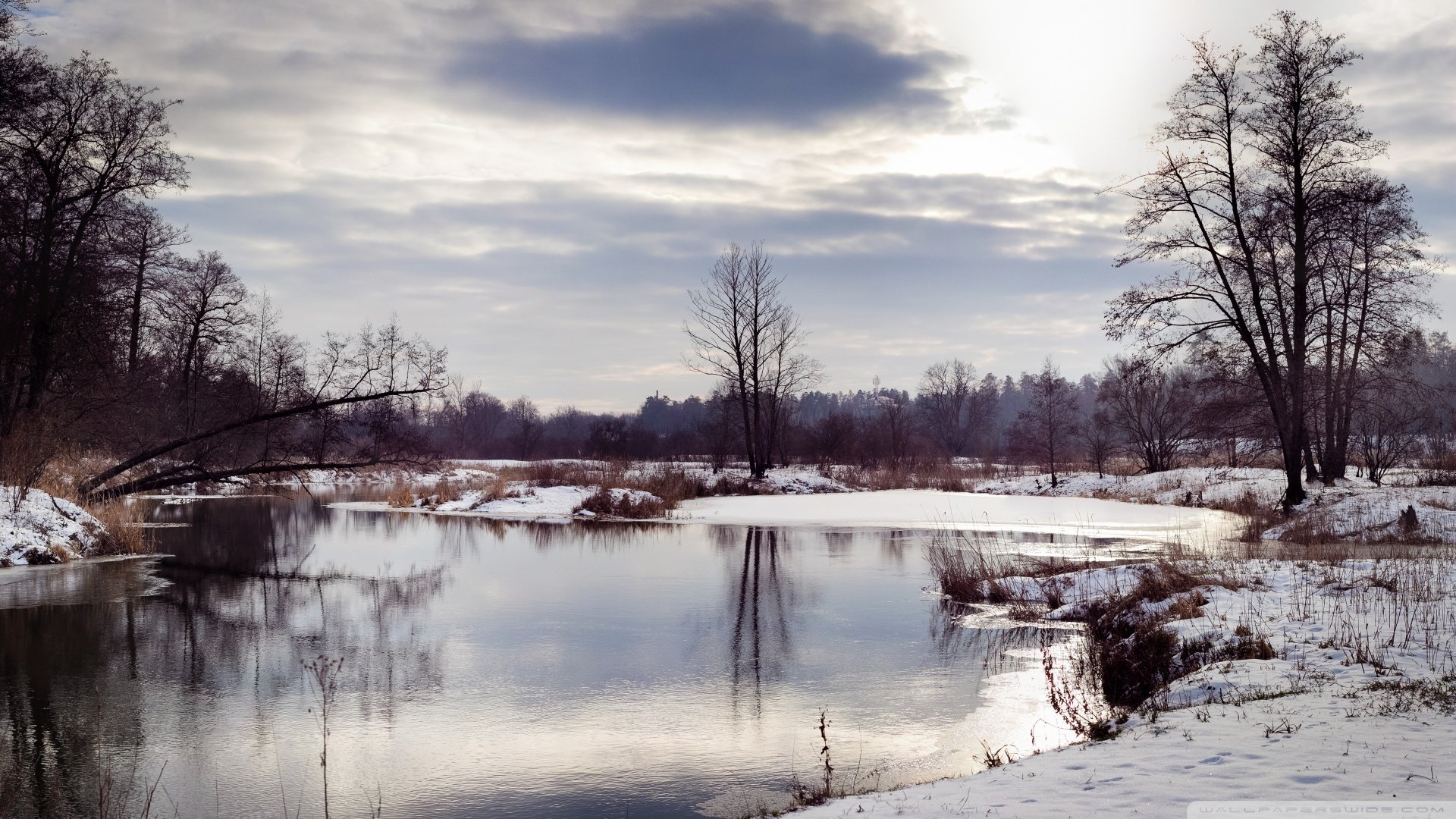 风景,自然风光,白雪,冬季,儿童桌面专用