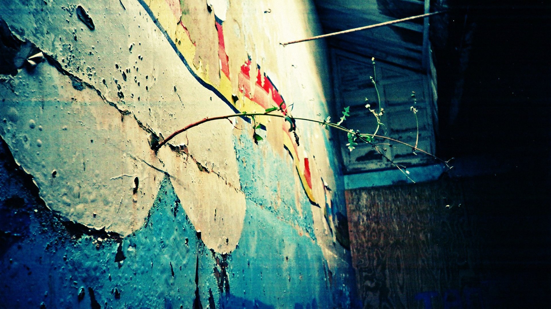 小清新,温馨一刻,儿童桌面专用