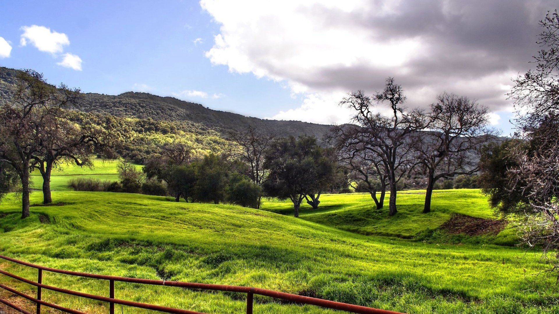 风景,蓝天白云,蓝天,草地,儿童桌面专用