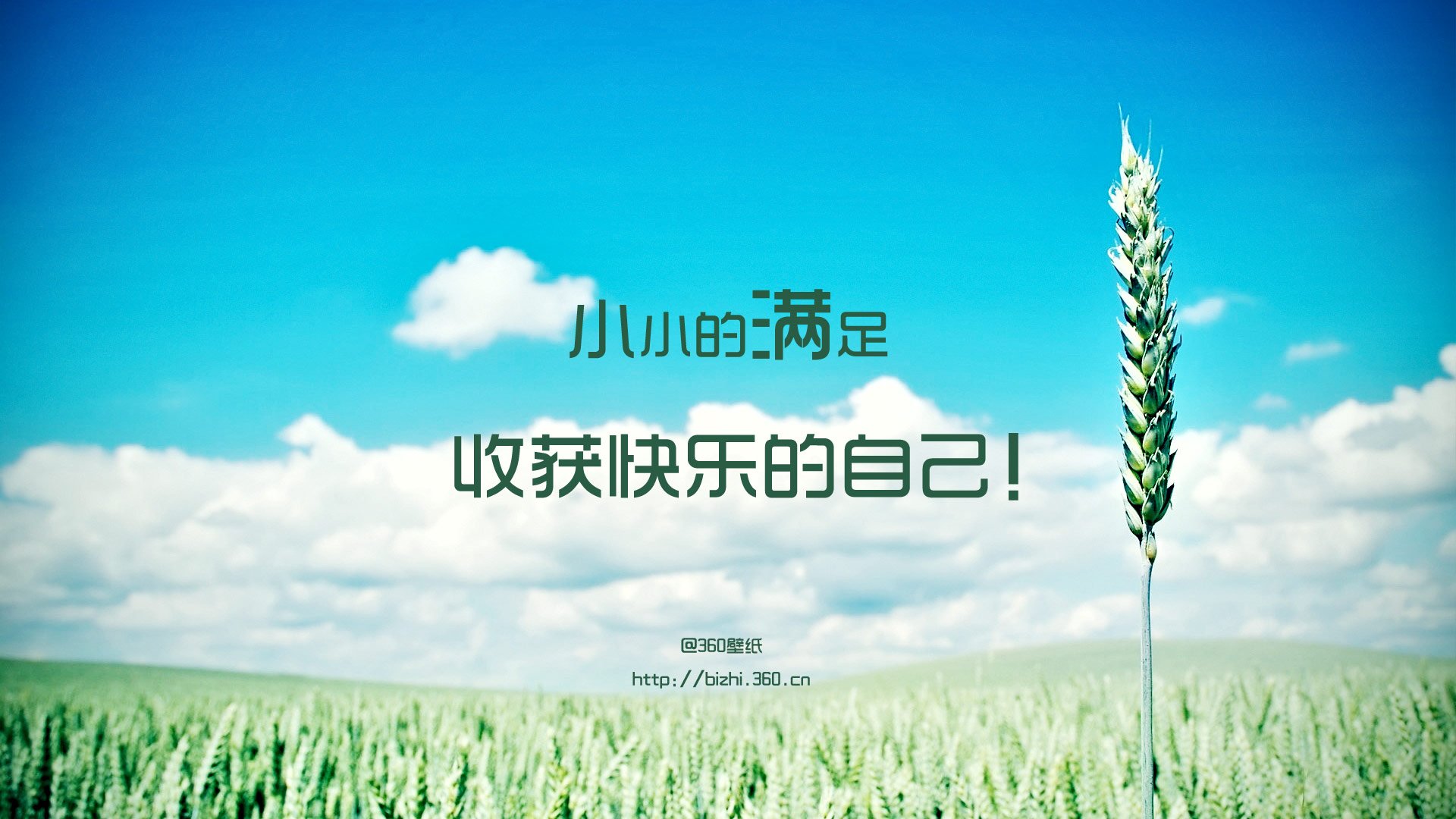 小清新,小满,节气,心情,清新,麦田,夏天,夏日,儿童桌面专用