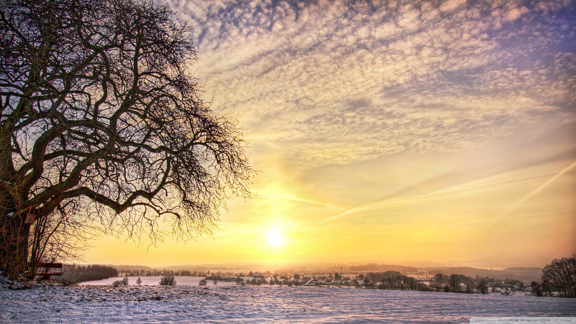 风景,黄昏,树木,秋天,自然风光