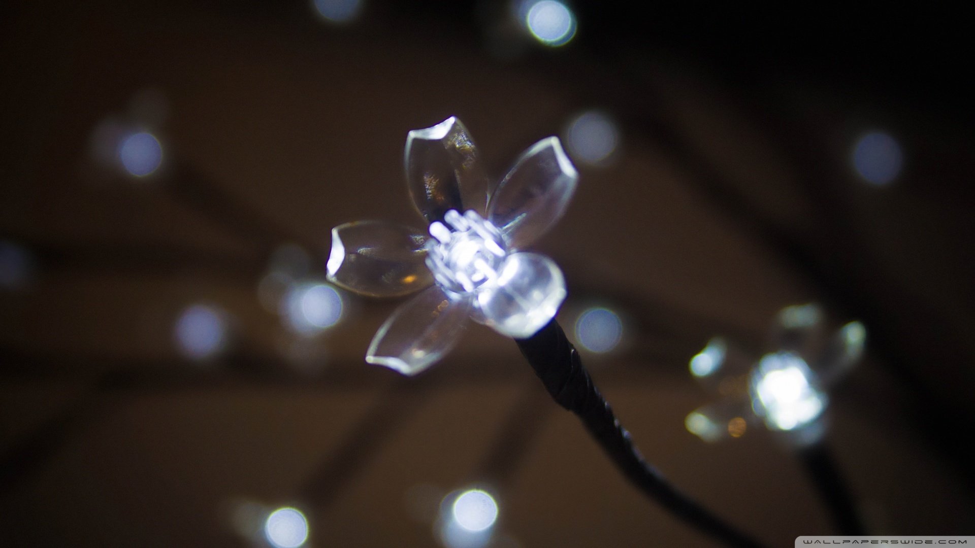 小清新,清新淡雅,花,儿童桌面专用