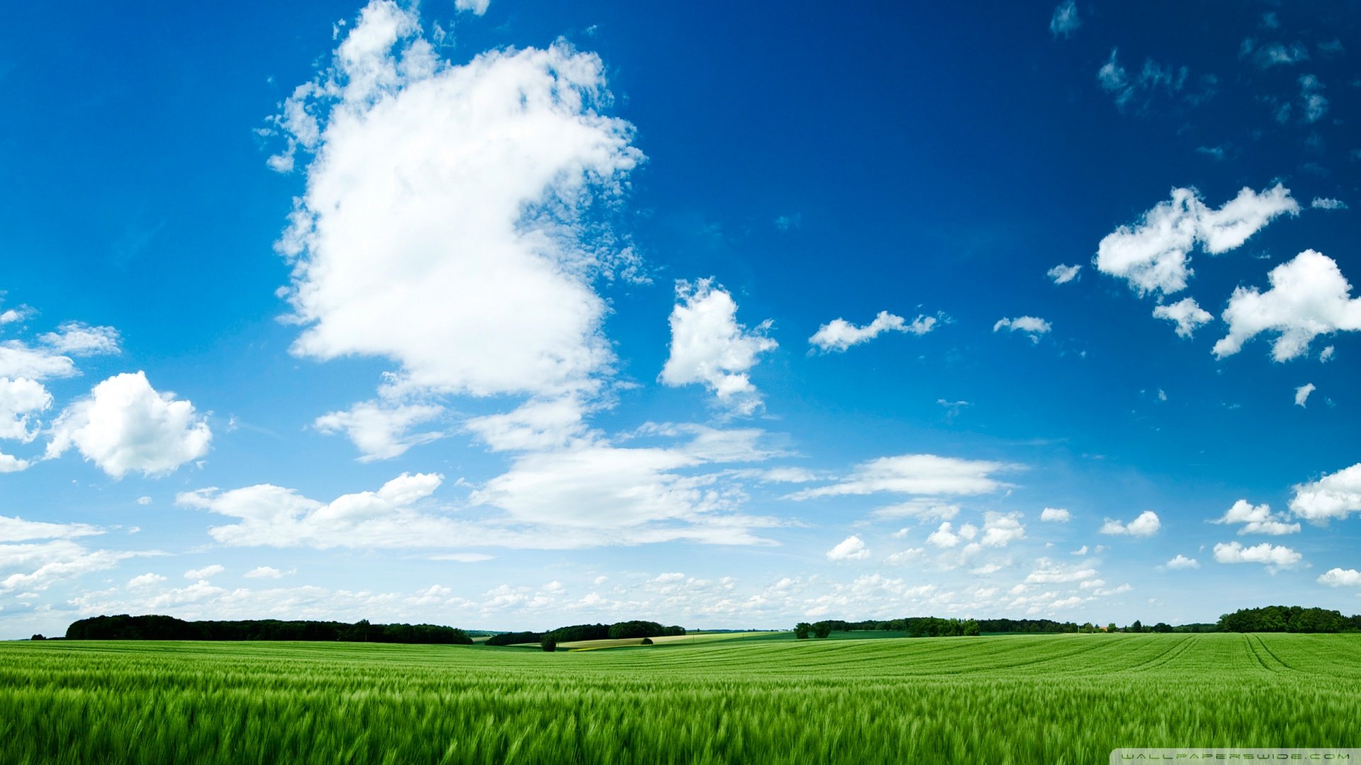 风景,蓝天白云,绿色好心情,儿童桌面专用