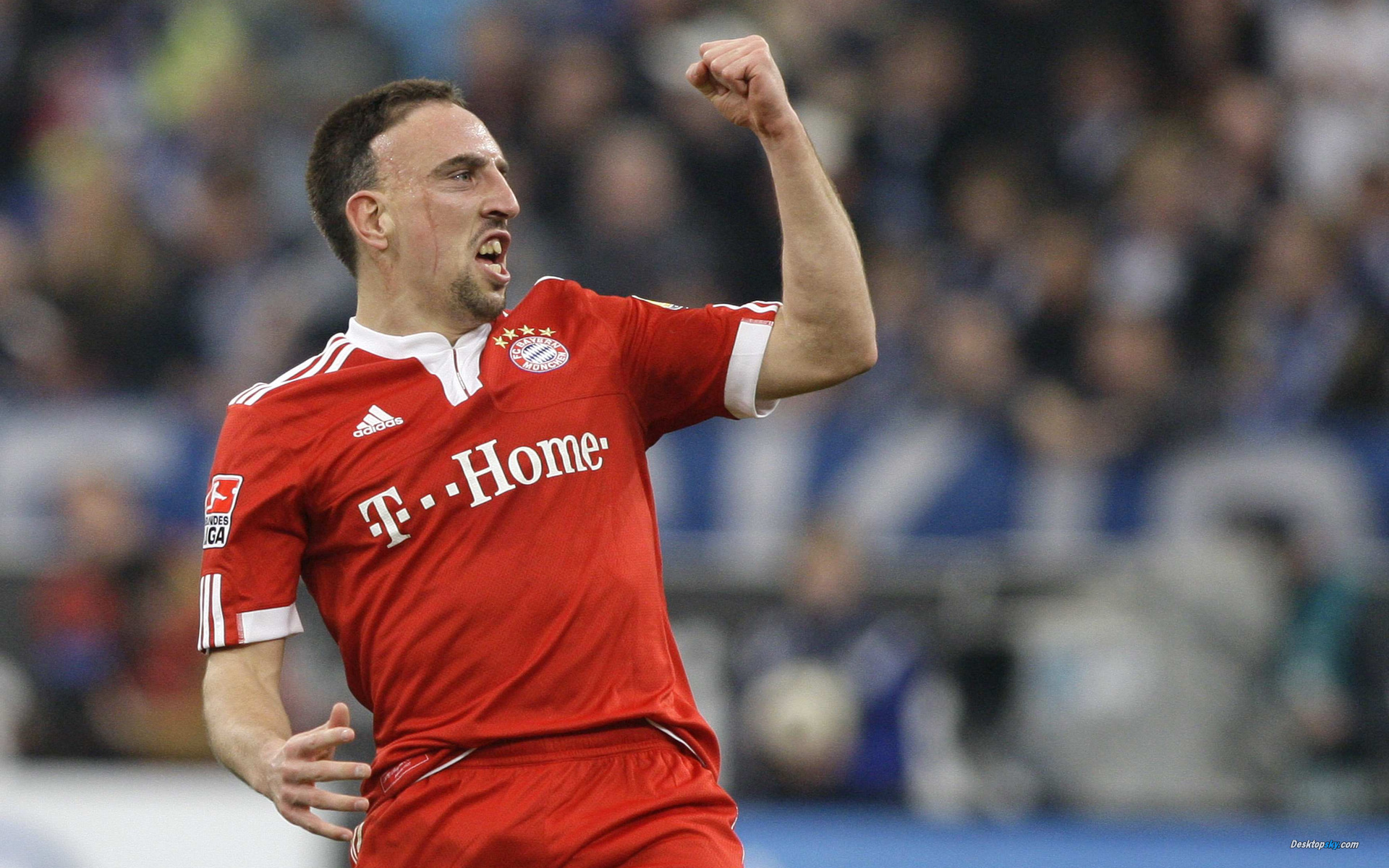 体育,足球,球星,里贝里,九月十四日,欧冠