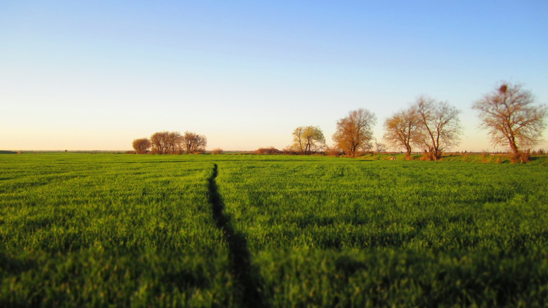 风景,蓝天白云,蓝天,草地,儿童桌面专用