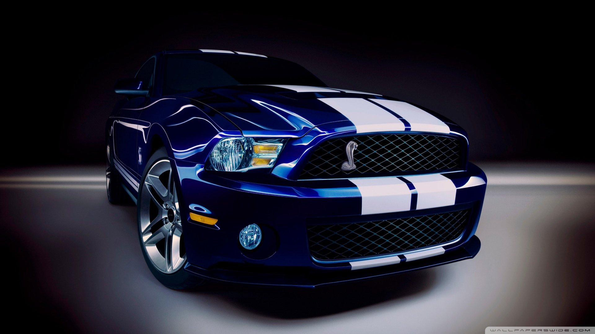 超跑,道奇,蝰蛇,肌肉车,儿童桌面专用