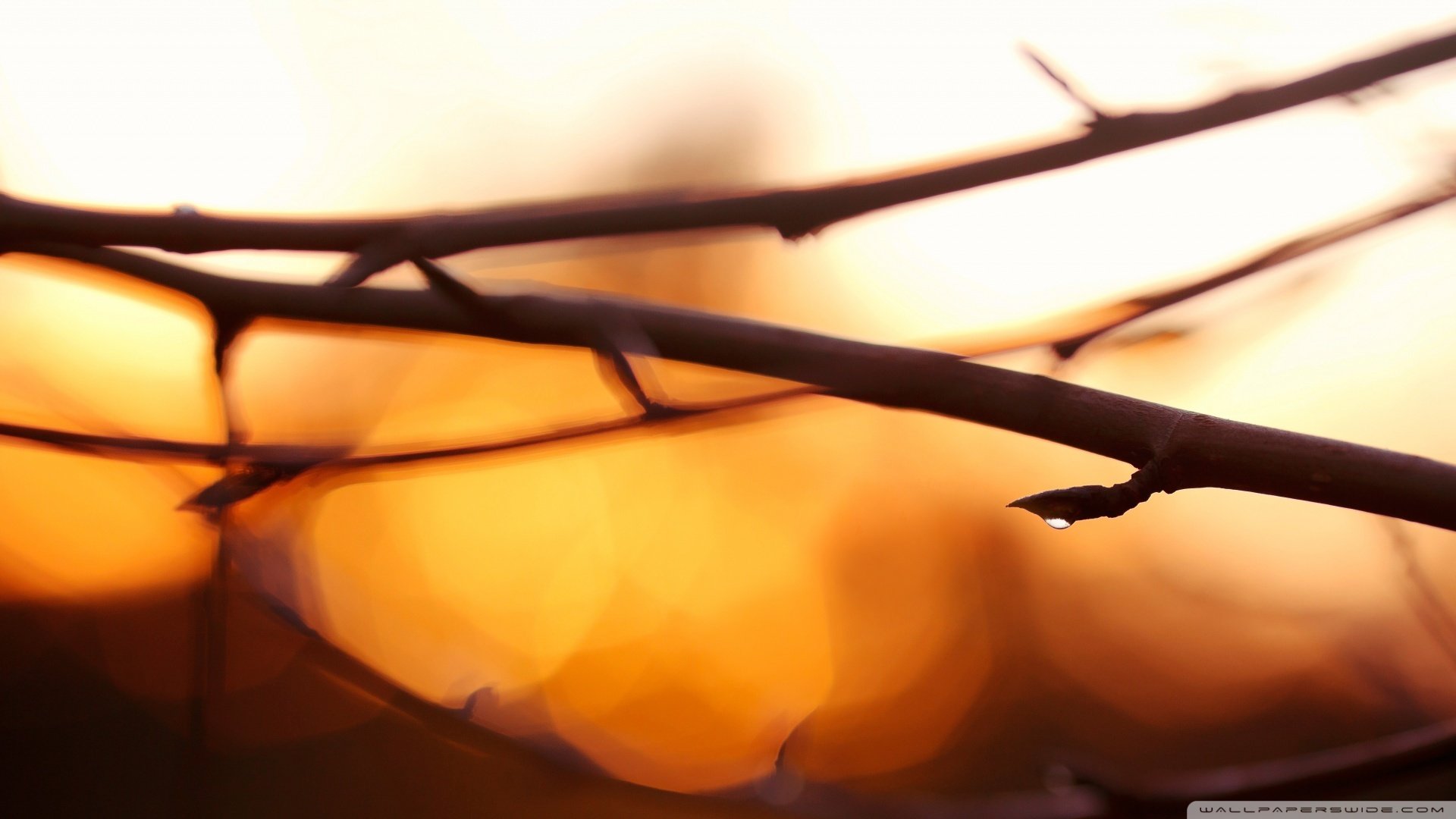 小清新,清新淡雅,儿童桌面专用