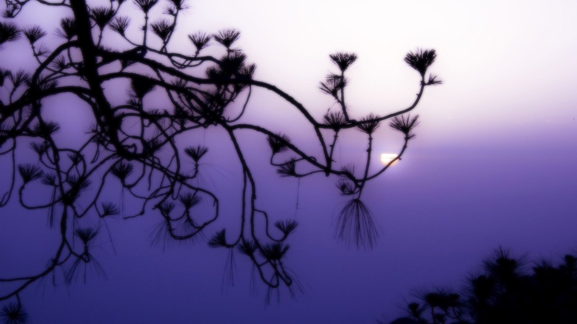 小清新,清新淡雅,儿童桌面专用