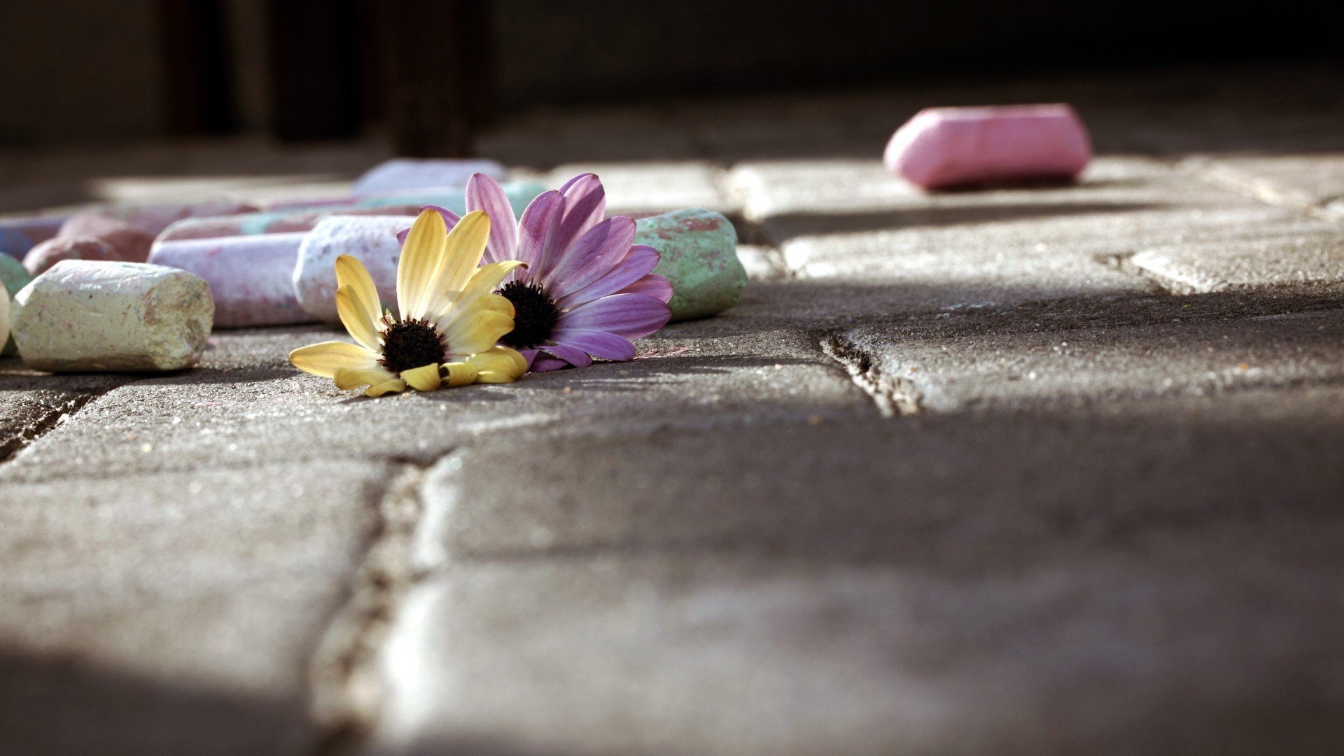 小清新,静物写真,粉笔,儿童桌面专用