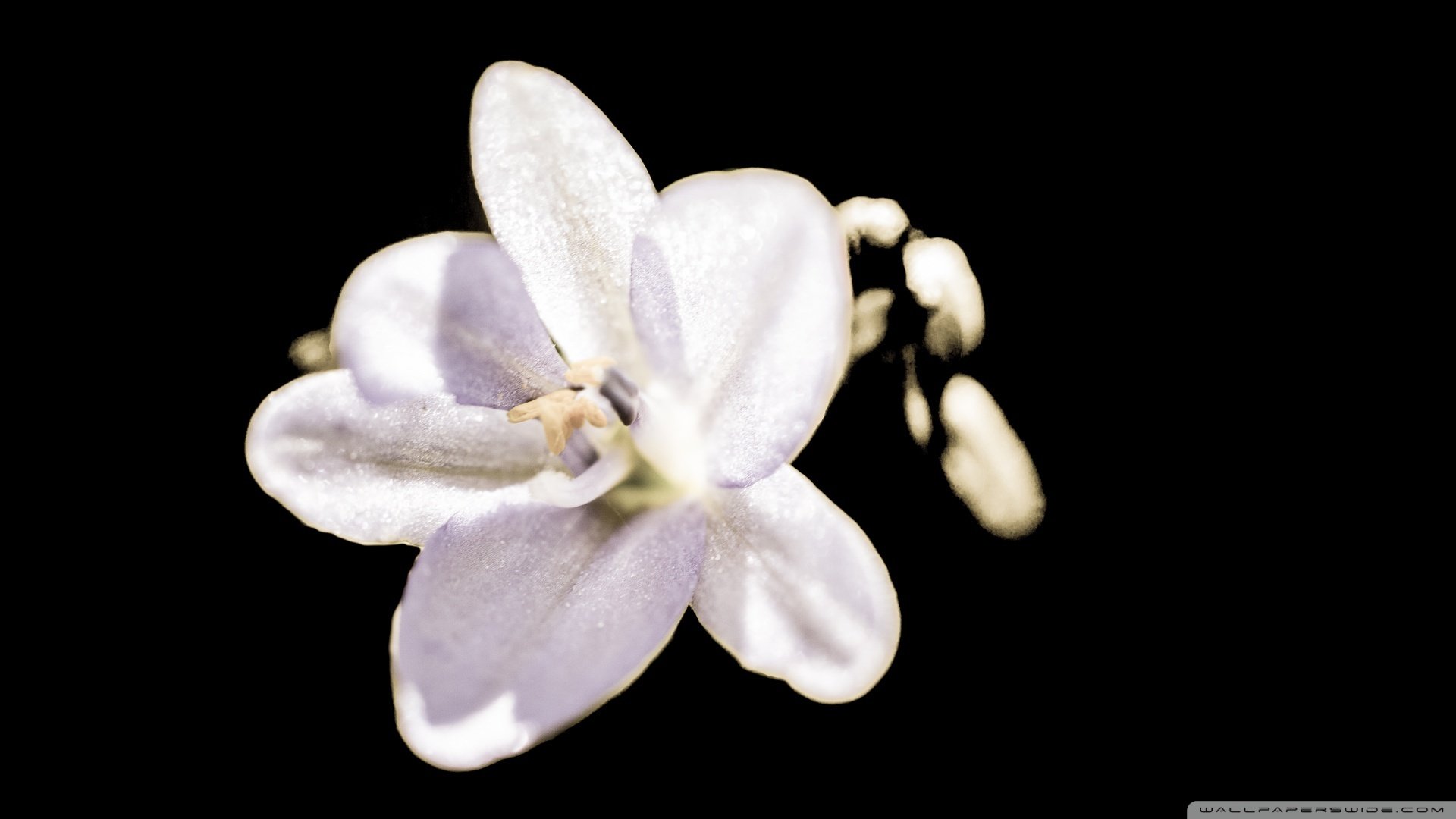 小清新,清新淡雅,儿童桌面专用