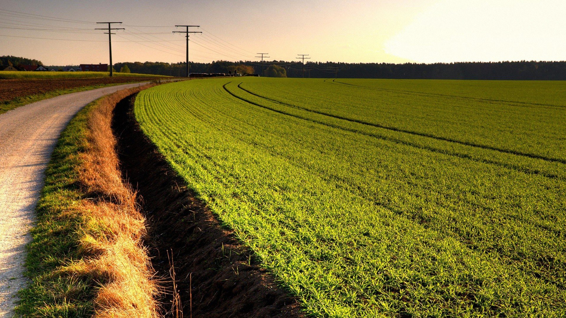 风景,自然风光,摄影,田野,乡村,小路,儿童桌面专用