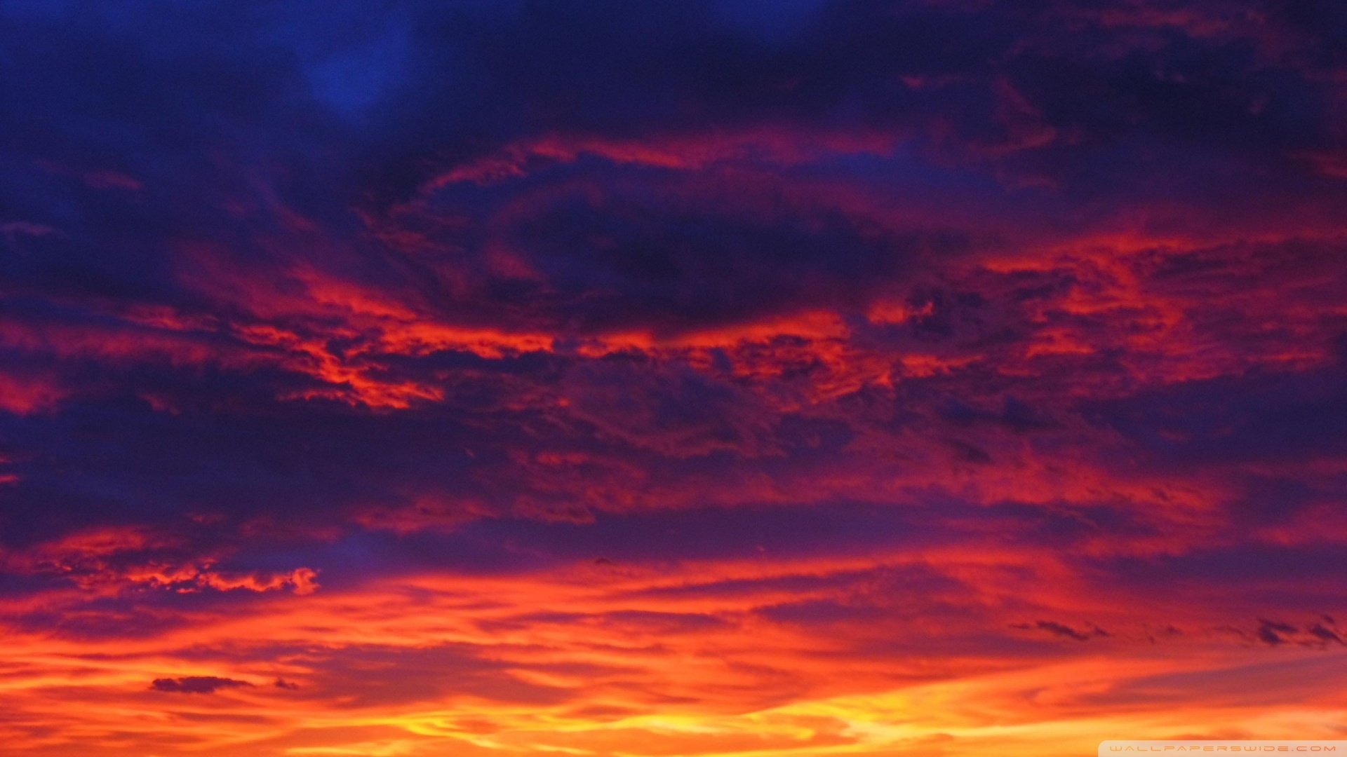 风景,落日余晖,血色残阳,儿童桌面专用