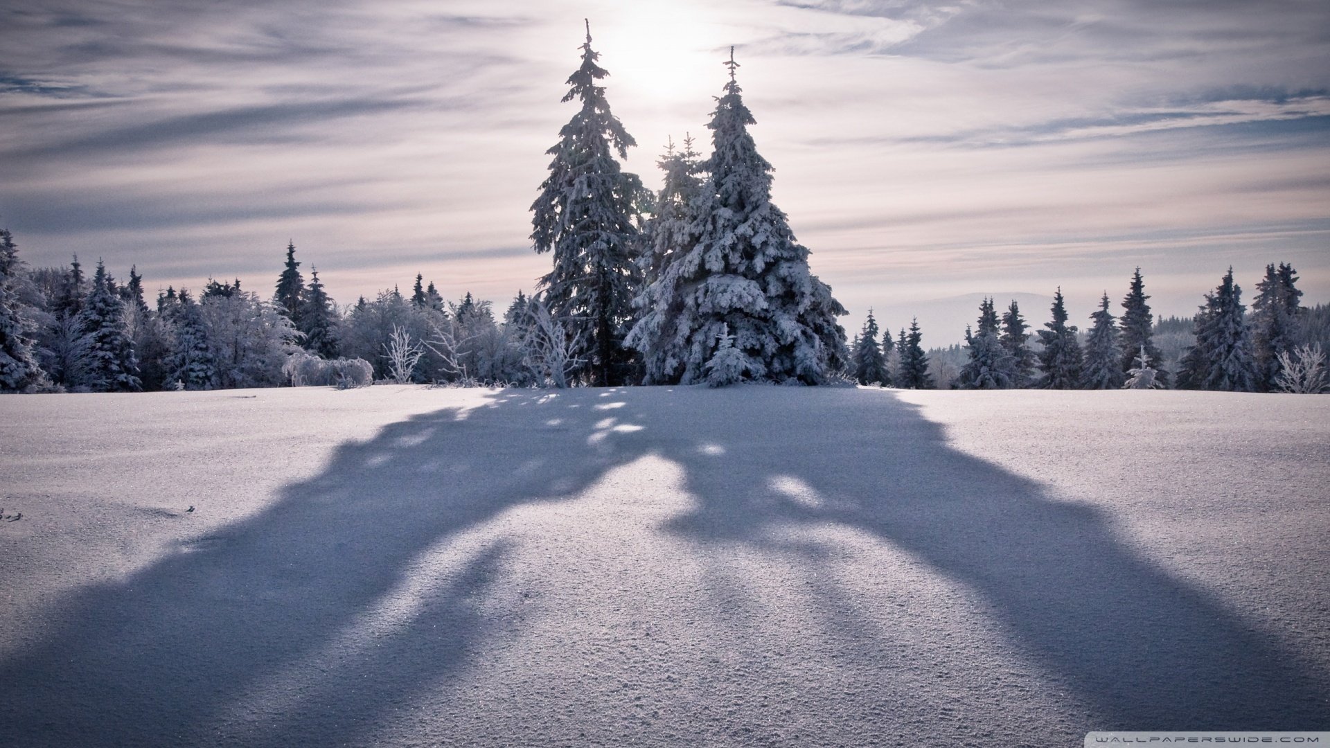 风景,自然风光,白雪,冬季,儿童桌面专用