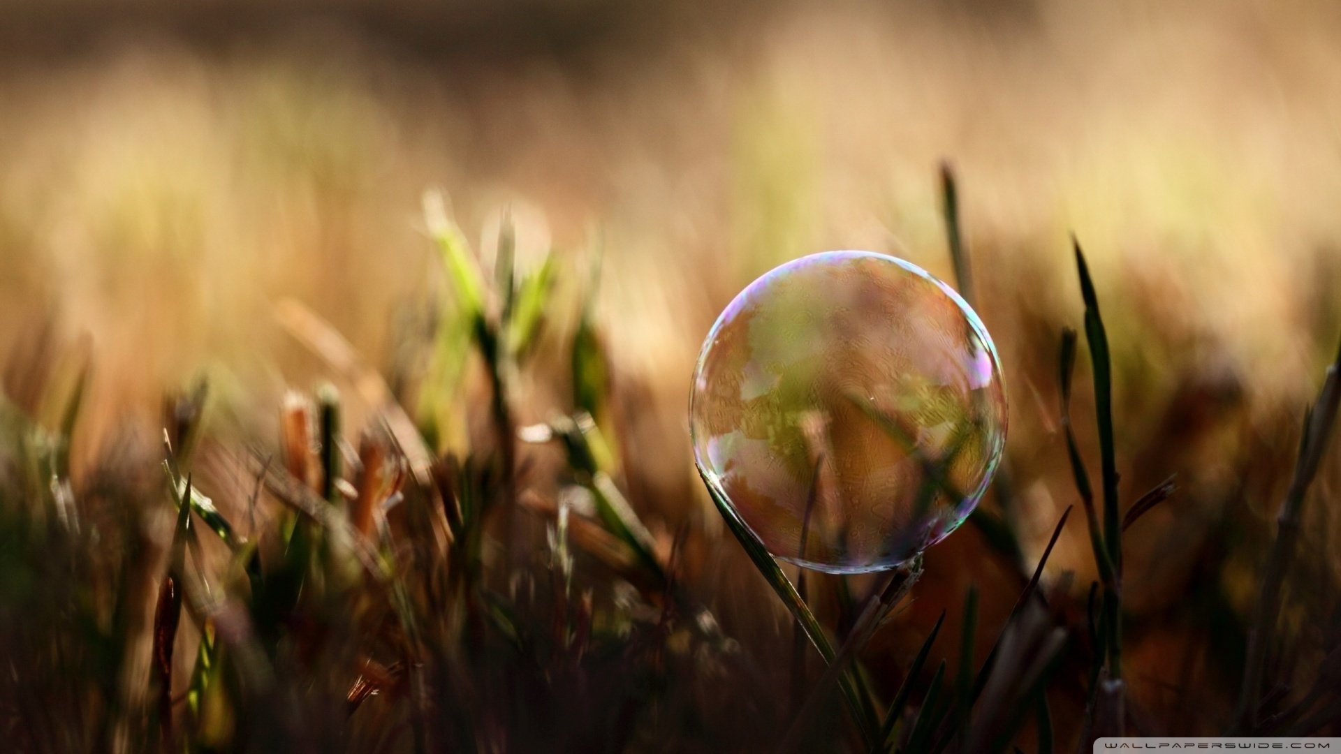 小清新,清新淡雅,儿童桌面专用