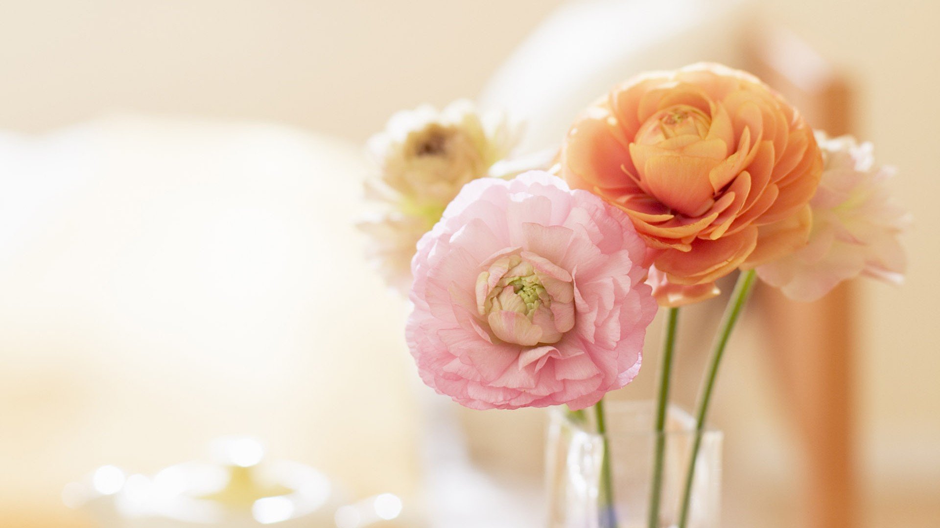 小清新,清新淡雅,花,儿童桌面专用