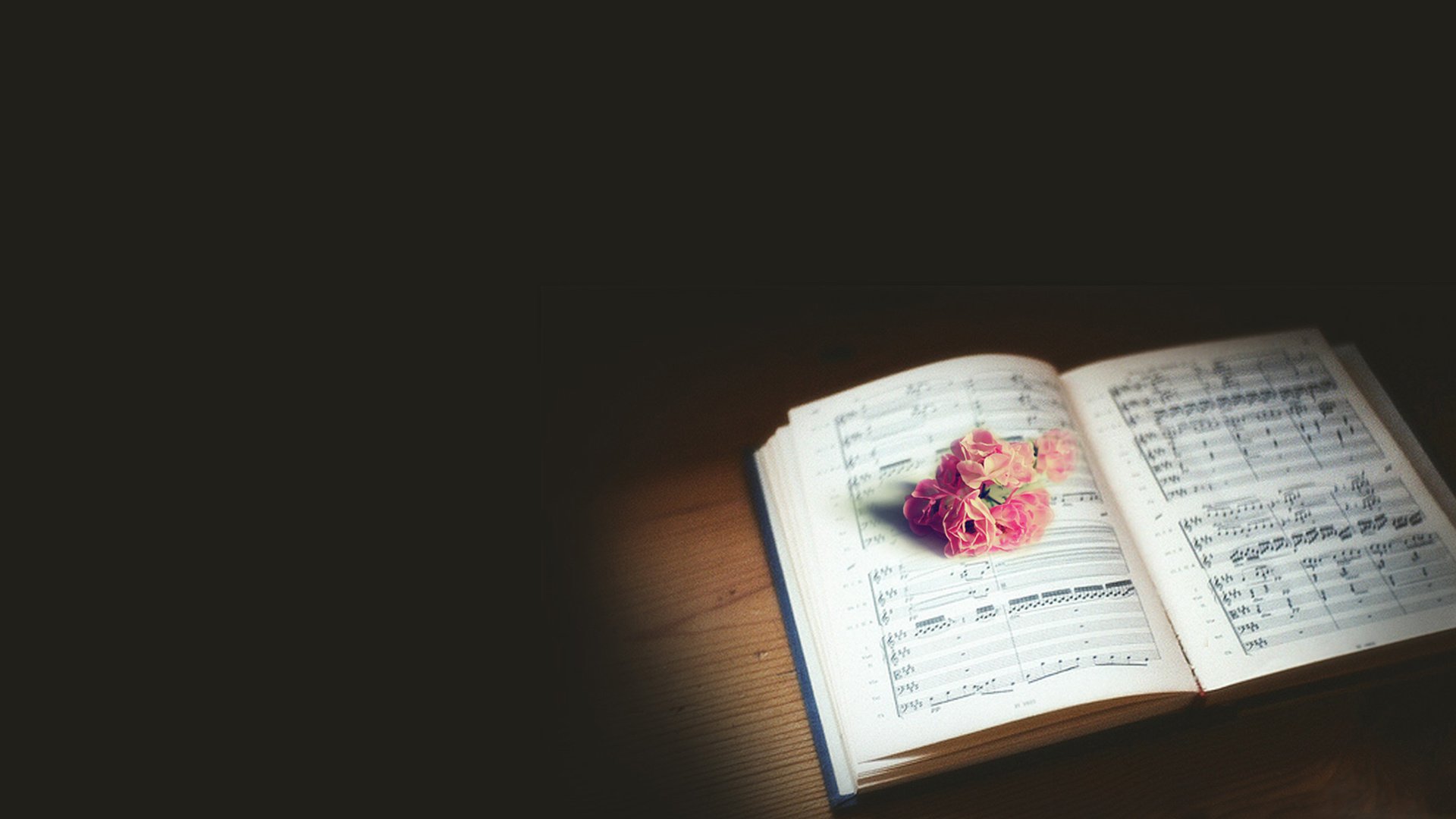 小清新,静物写真,书