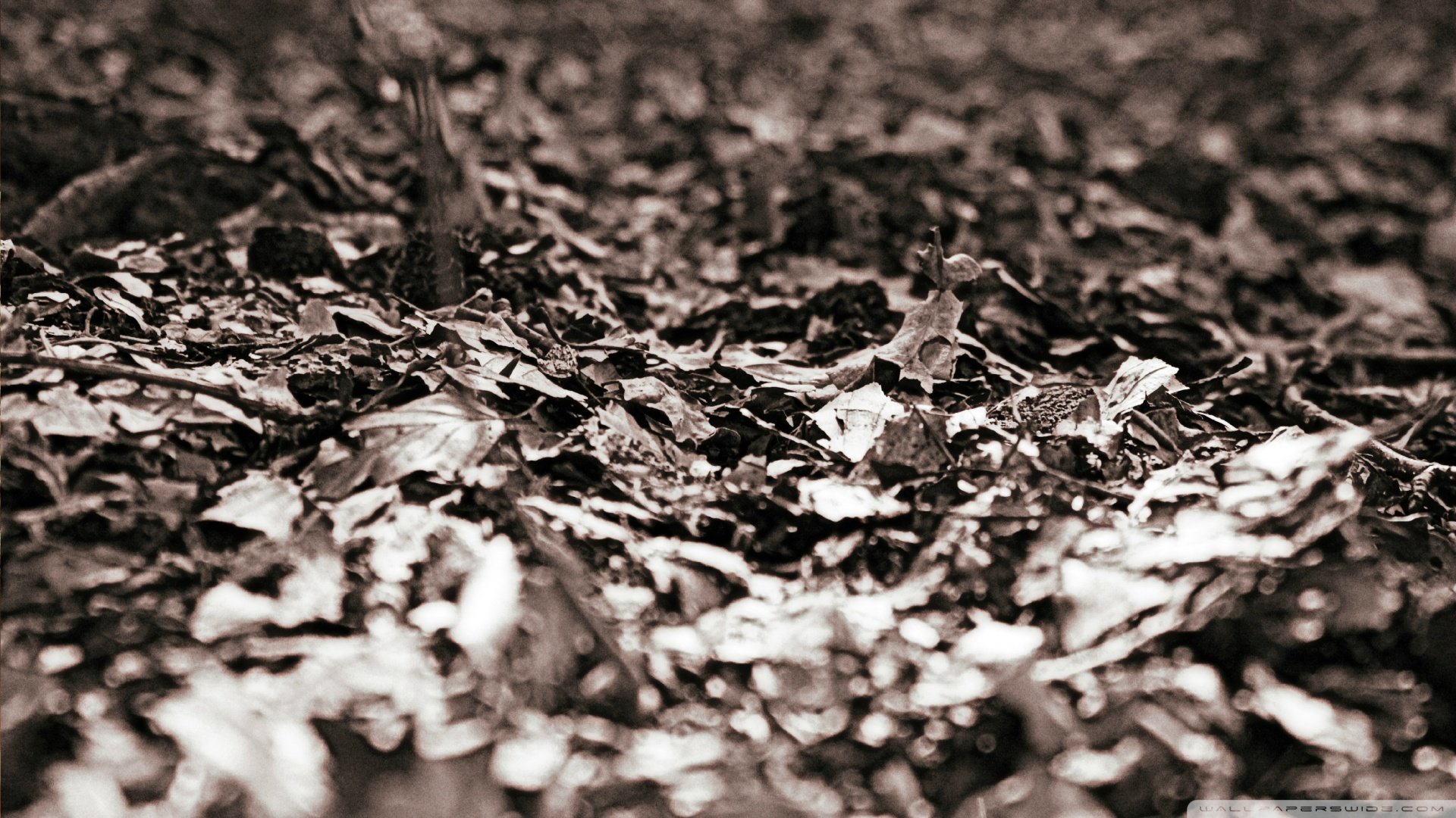 小清新,温馨一刻,儿童桌面专用