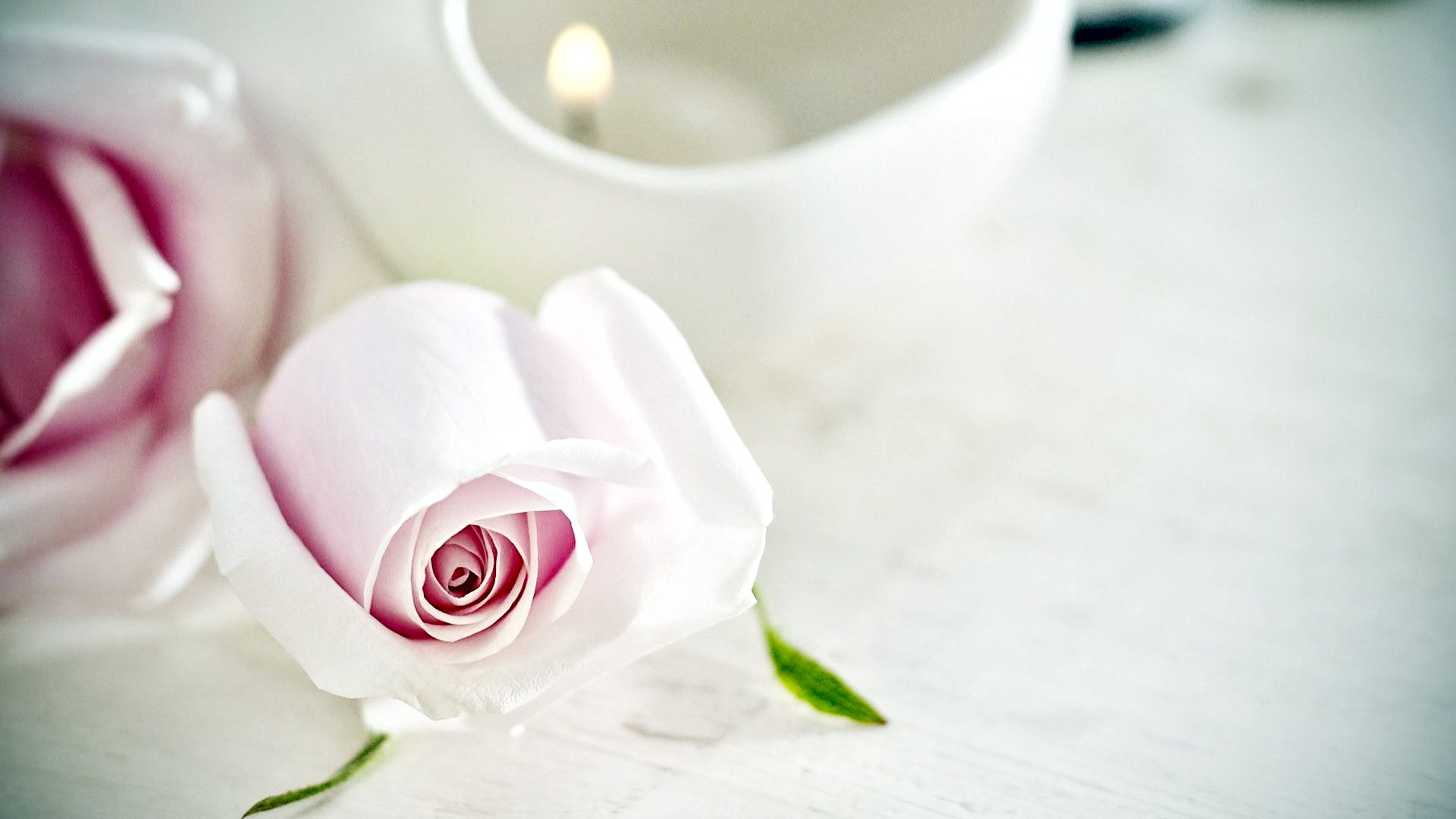 小清新,清新淡雅,花,儿童桌面专用