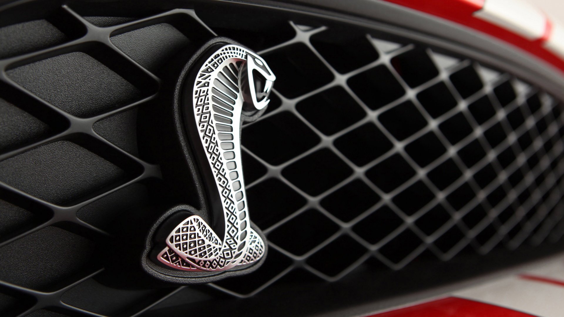 超跑,道奇,蝰蛇,肌肉车,儿童桌面专用