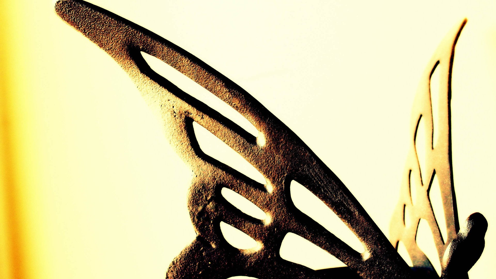 小清新,静物写真,蝴蝶,儿童桌面专用