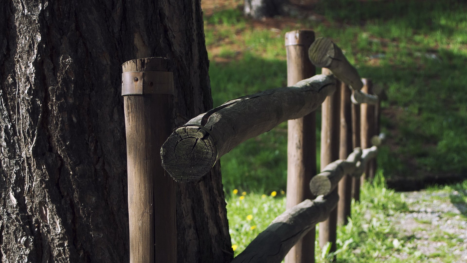 风景,树木,篱笆,草地,自然风光,儿童桌面专用