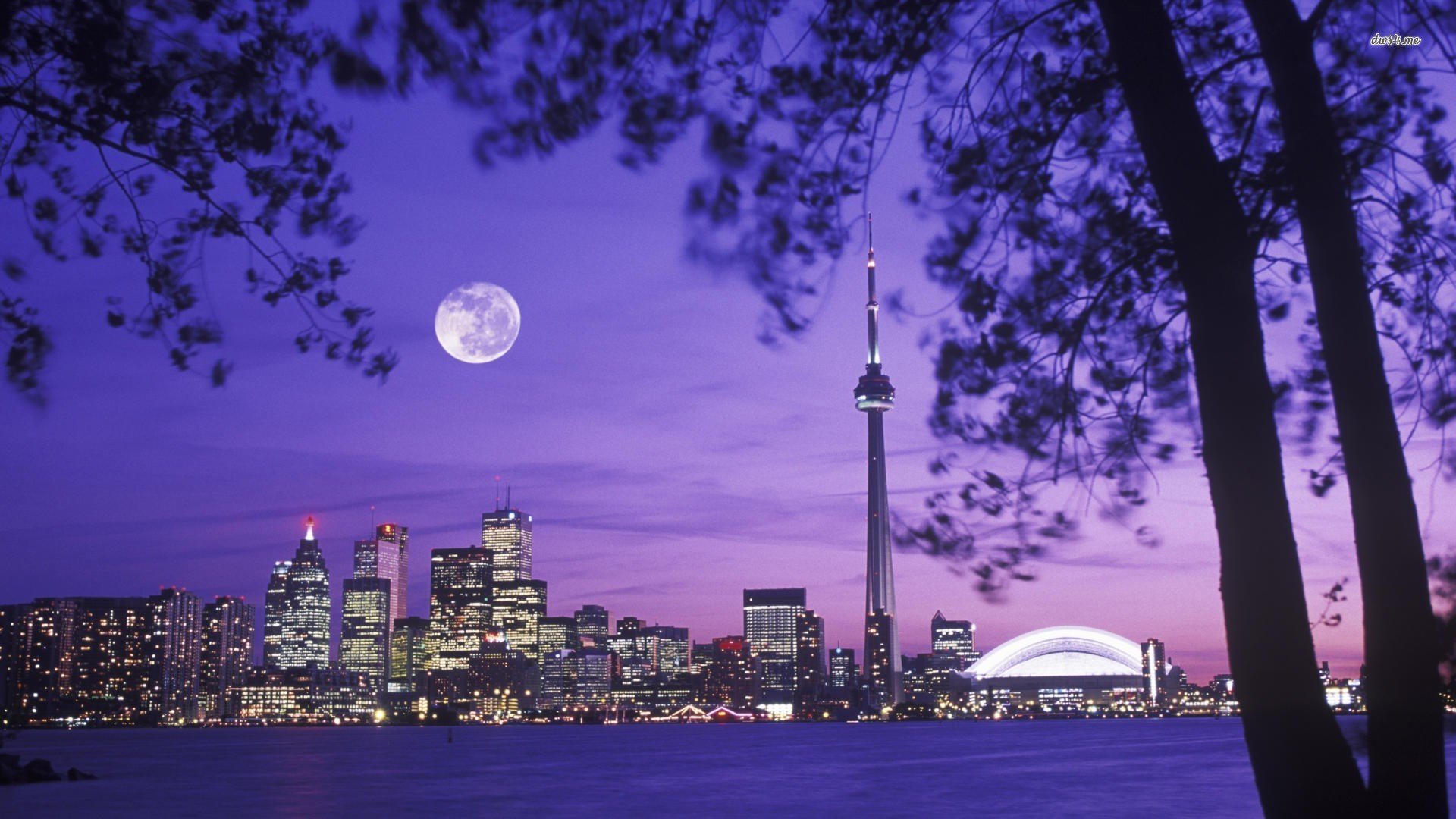 风景,摄影,城市夜景,儿童桌面专用