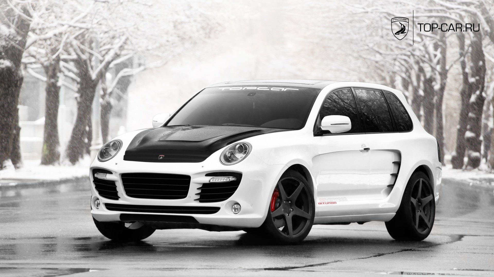 SUV,改装车,涂装,白色,儿童桌面专用