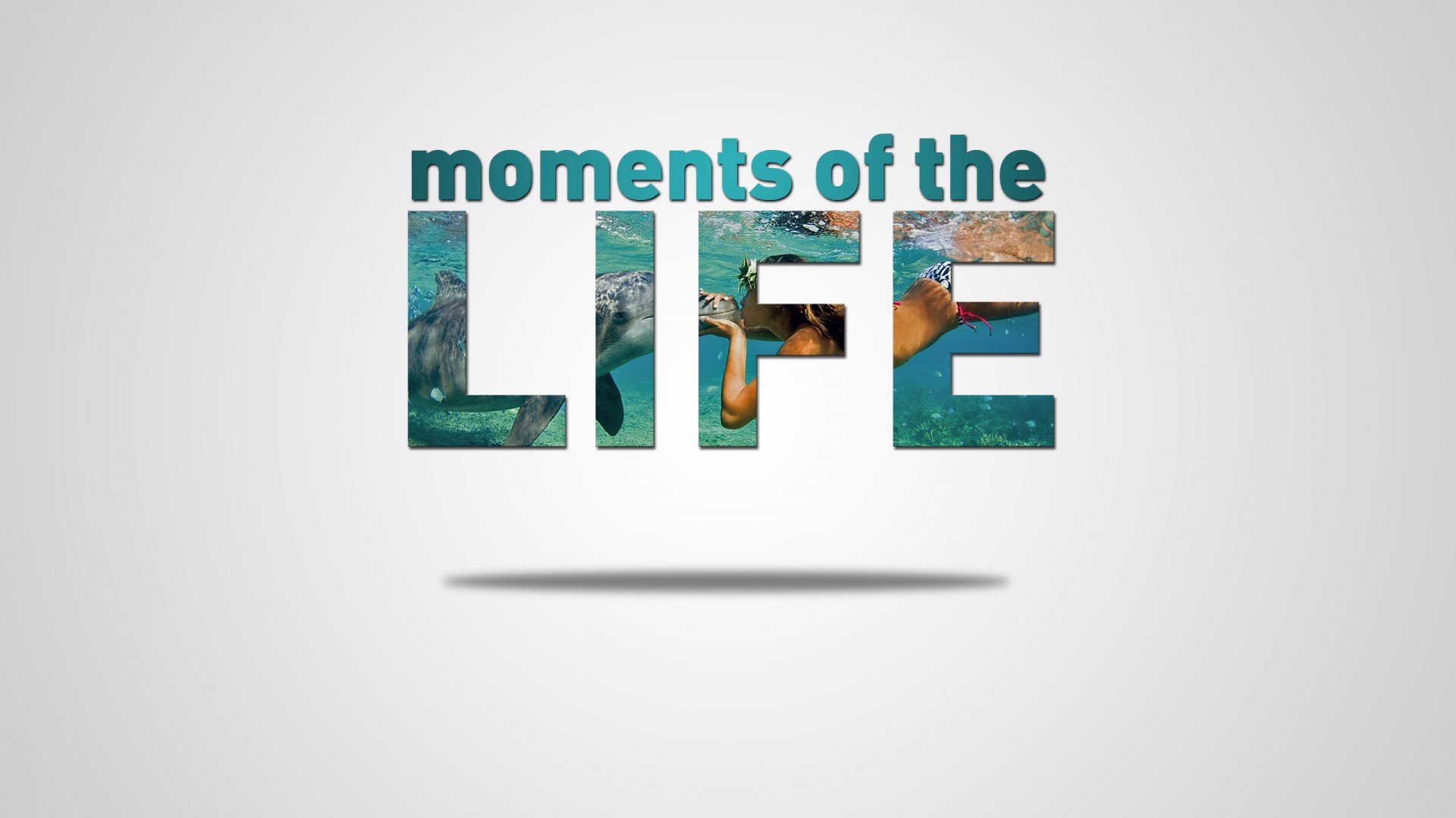 创意,设计,文字,life,儿童桌面专用