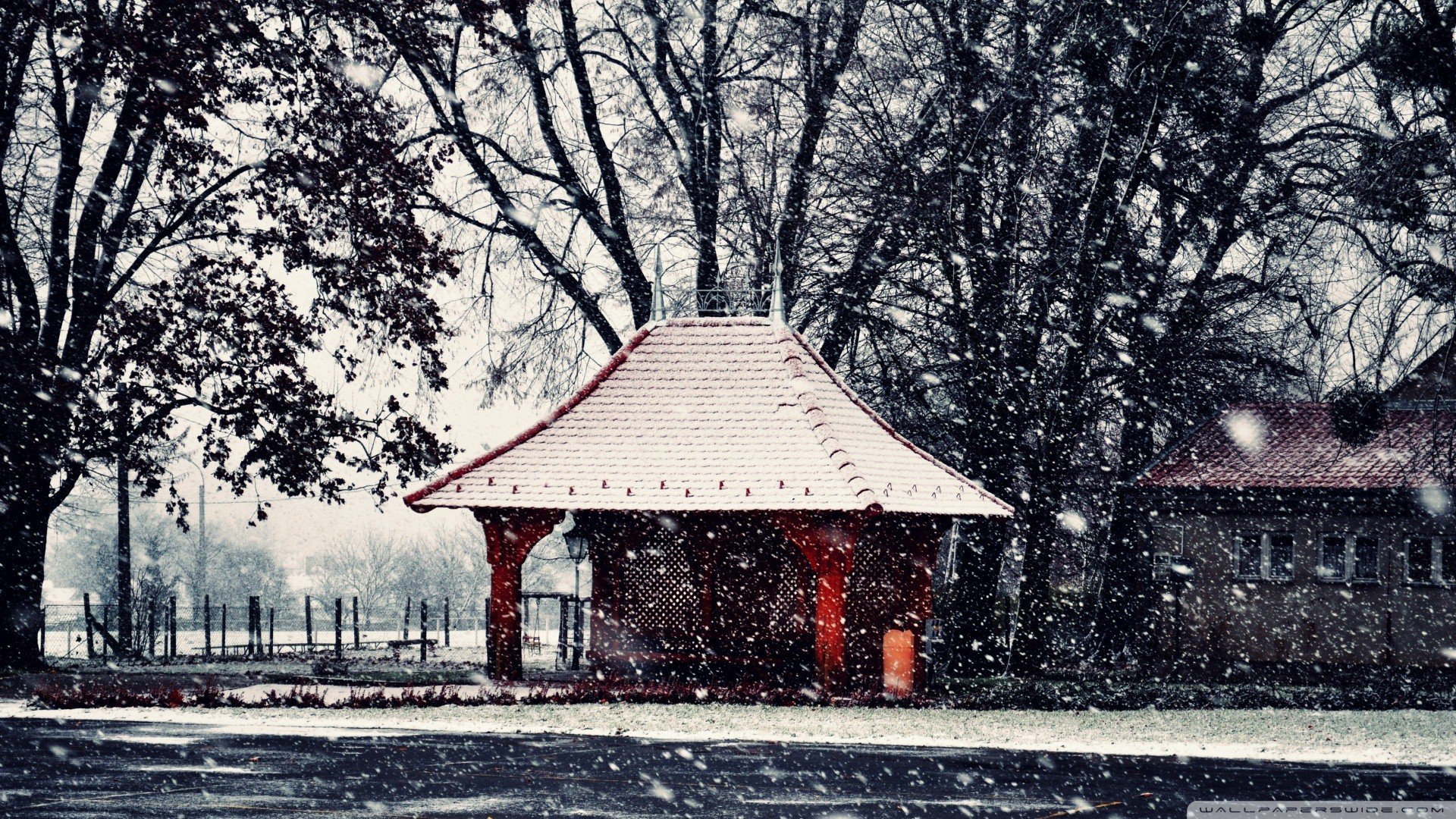 风景,冰天雪地,儿童桌面专用