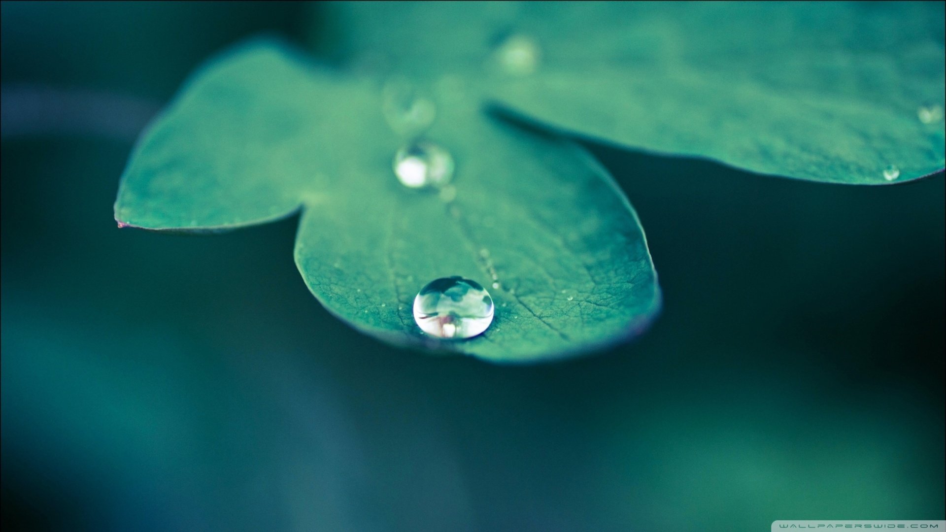 小清新,护眼壁纸,儿童桌面专用