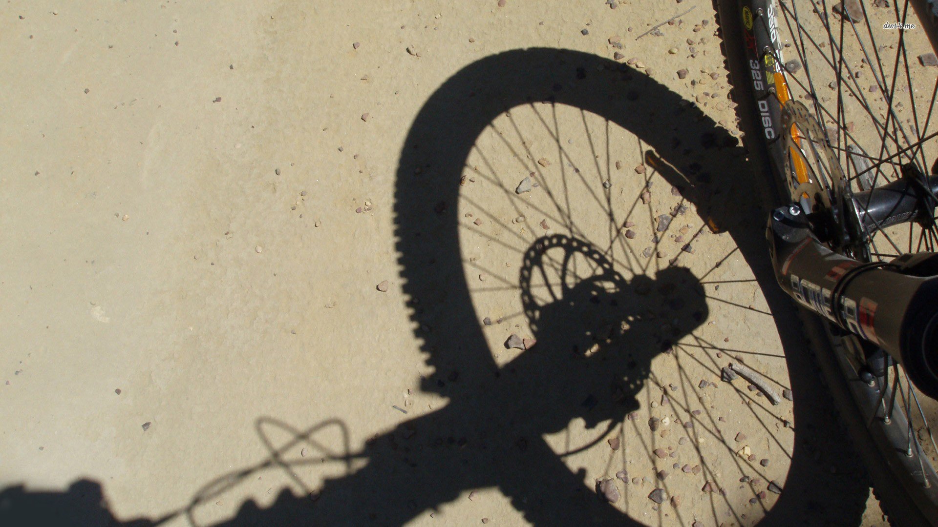 体育,竞技,自行车