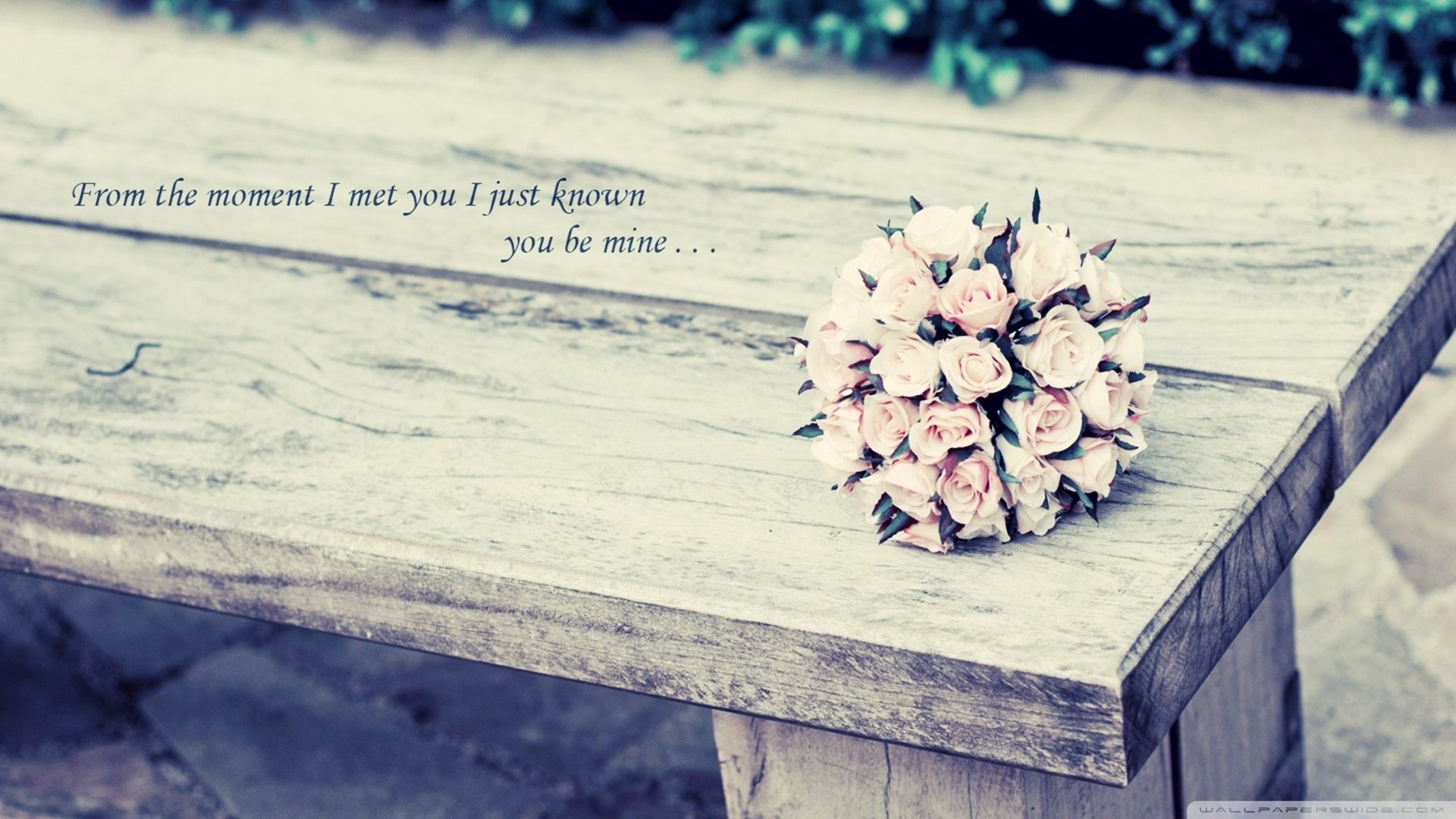 爱情,爱情箴言,玫瑰