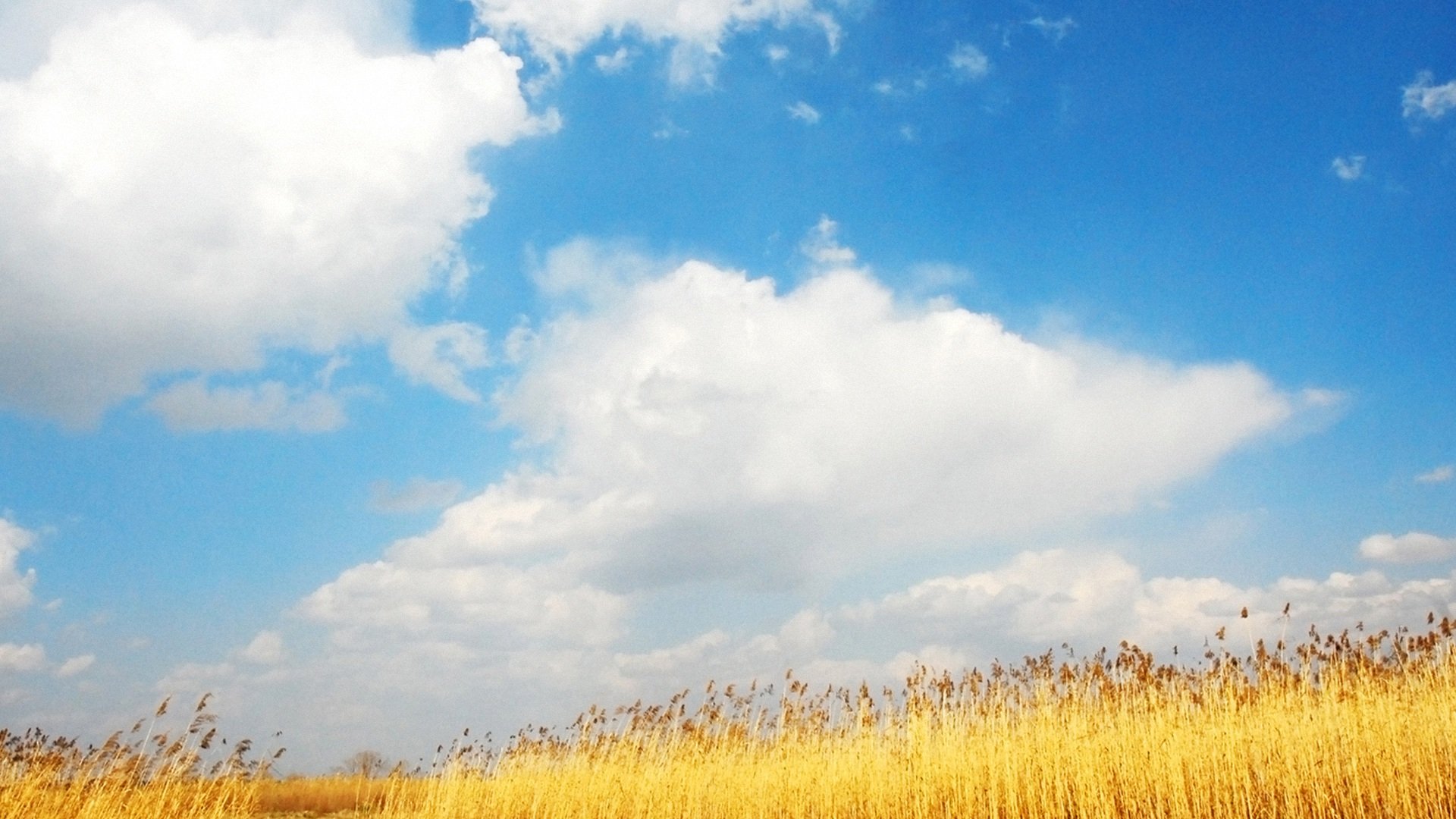 小清新,唯美温馨,儿童桌面专用
