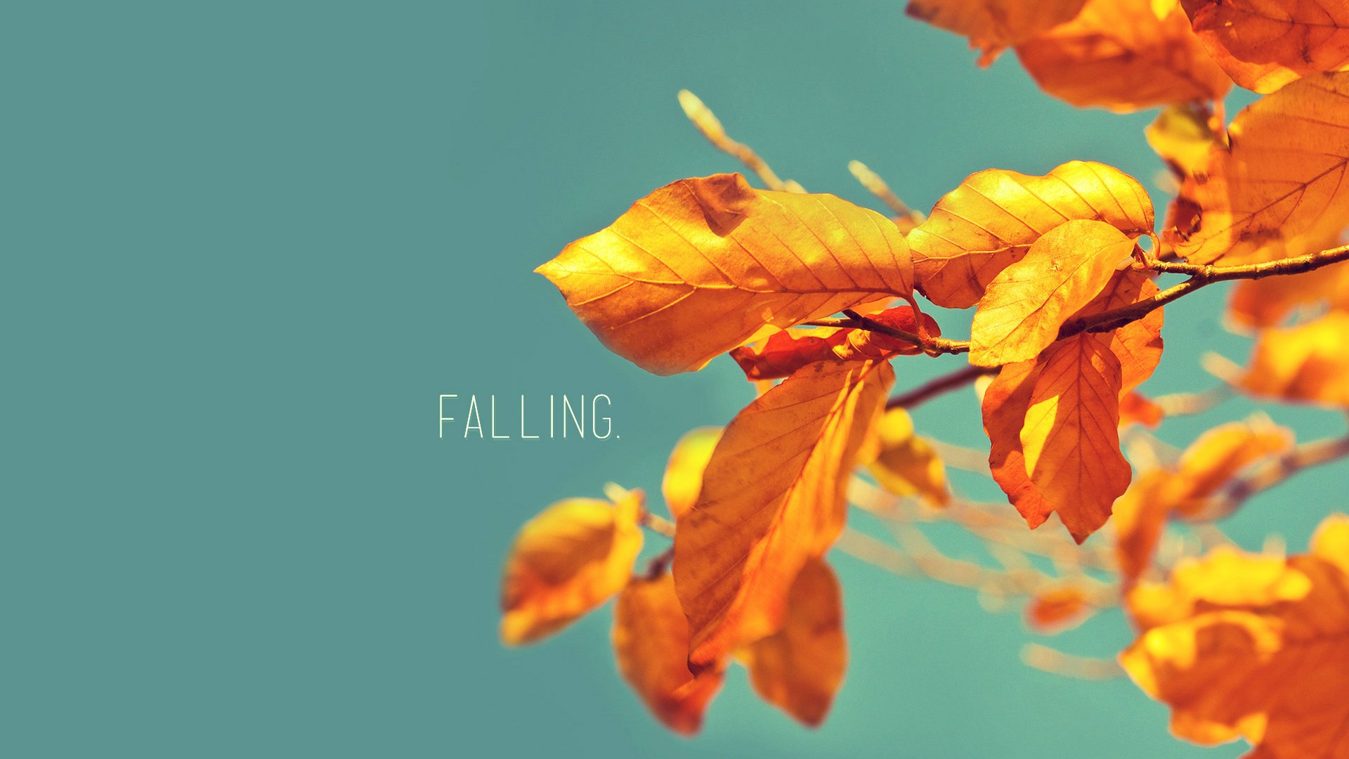 小清新,温馨一刻,花,儿童桌面专用