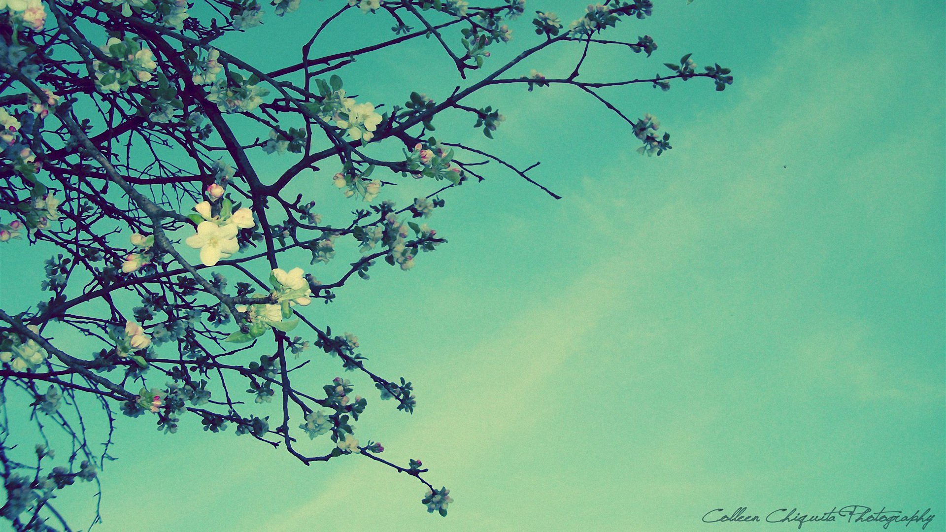 小清新,清新淡雅,儿童桌面专用