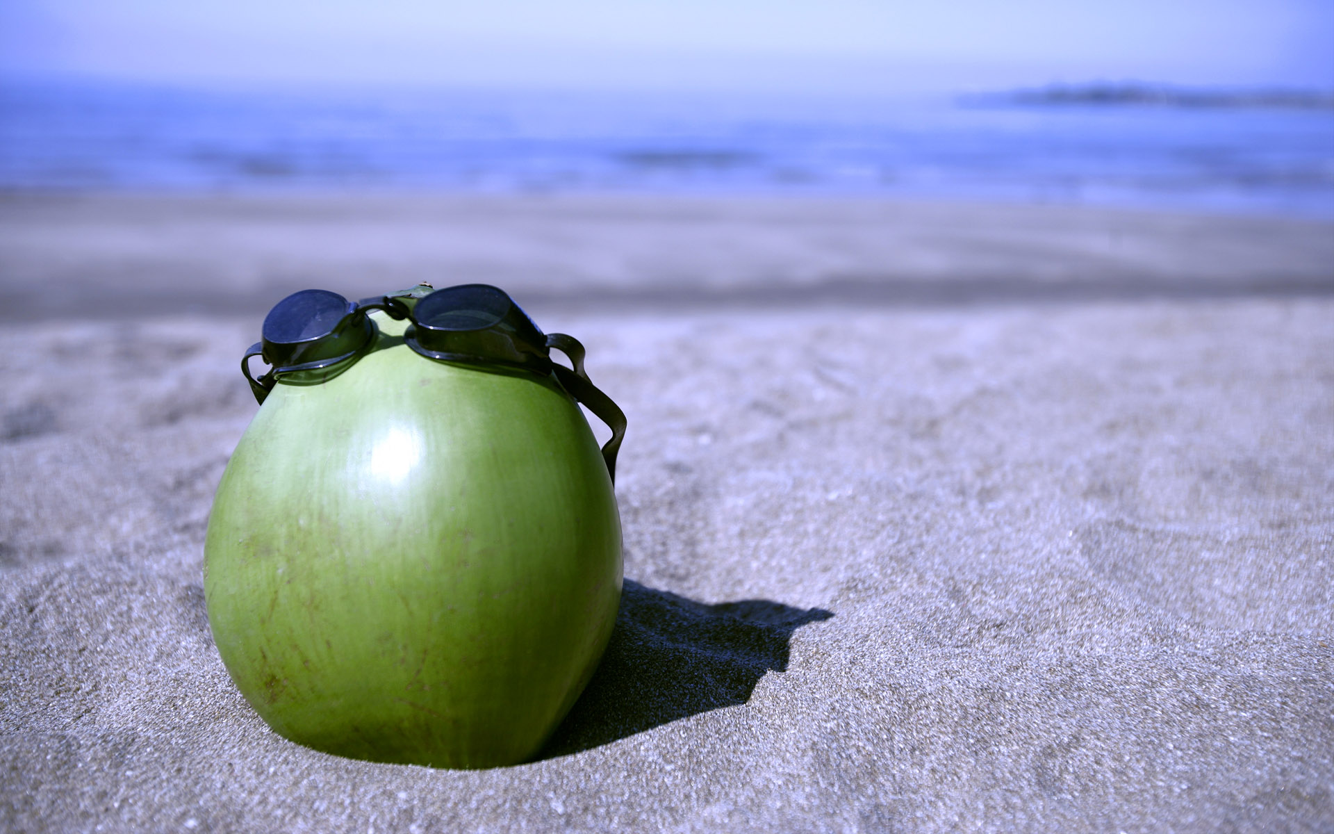 夏至,海边,六月二十一日,动感水果,儿童桌面专用